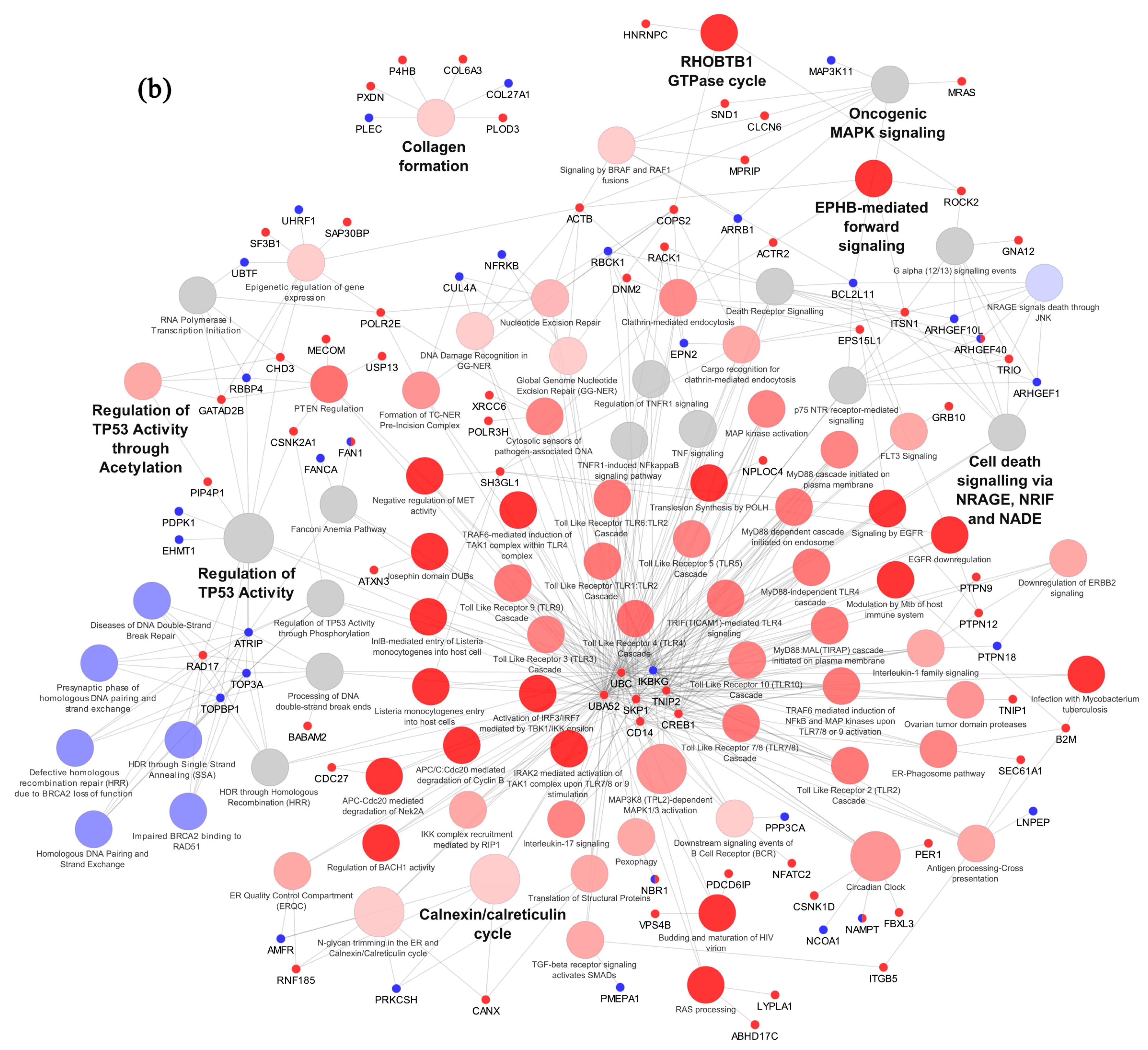 Ijms 25 03357 g002b Ijms 25 03357 g002b