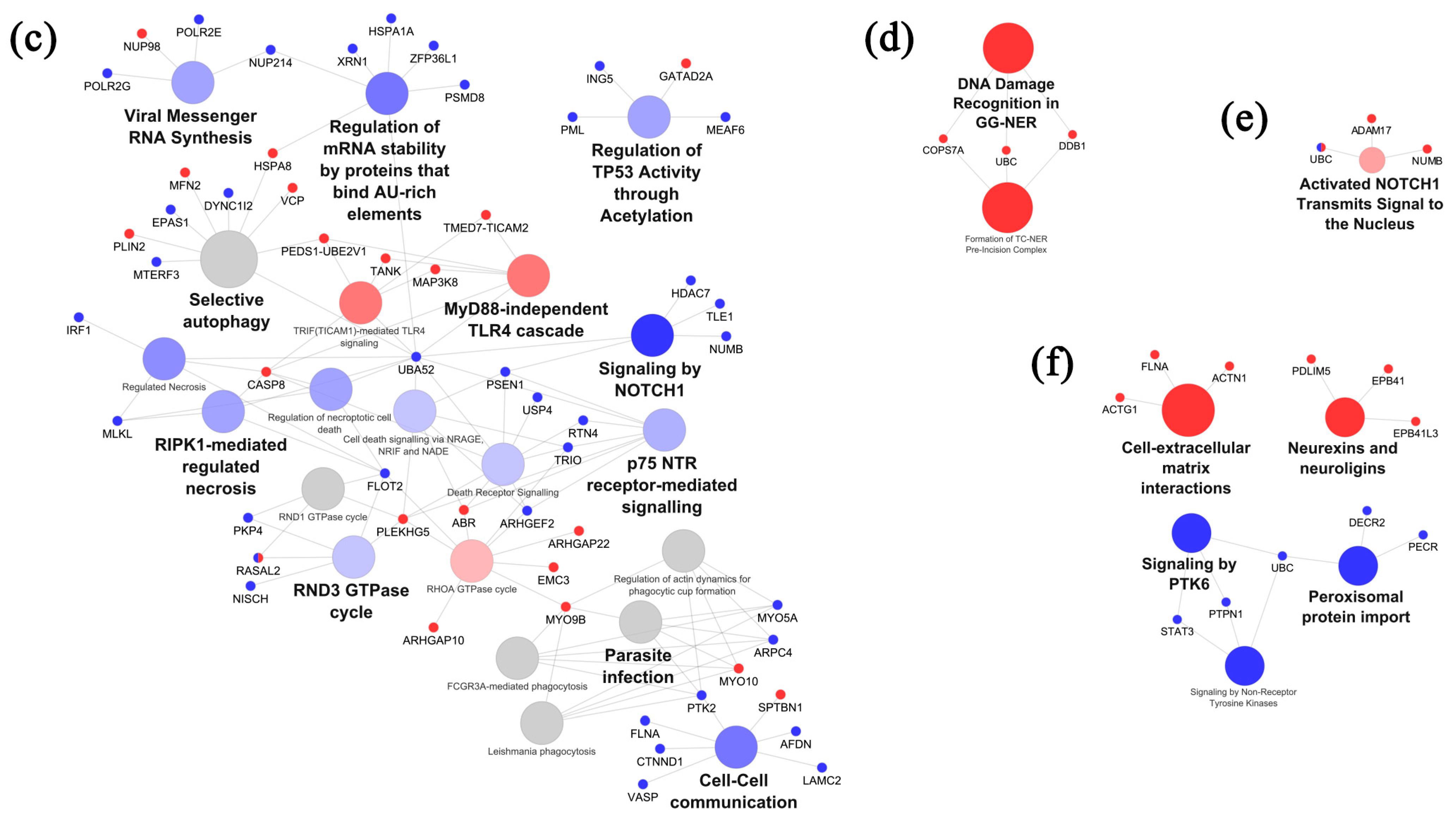 Ijms 25 03357 g002c Ijms 25 03357 g002c