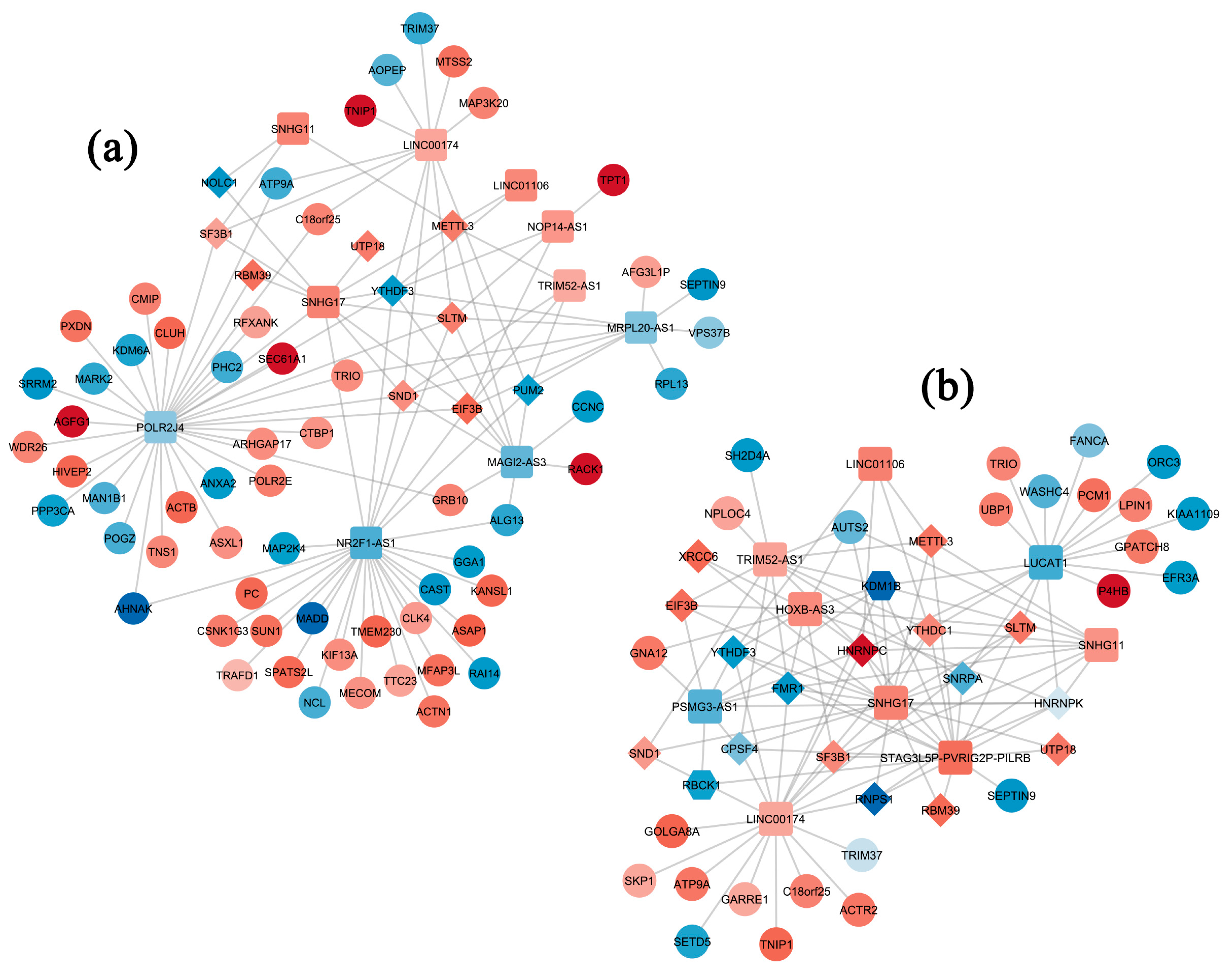 Ijms 25 03357 g003a Ijms 25 03357 g003a