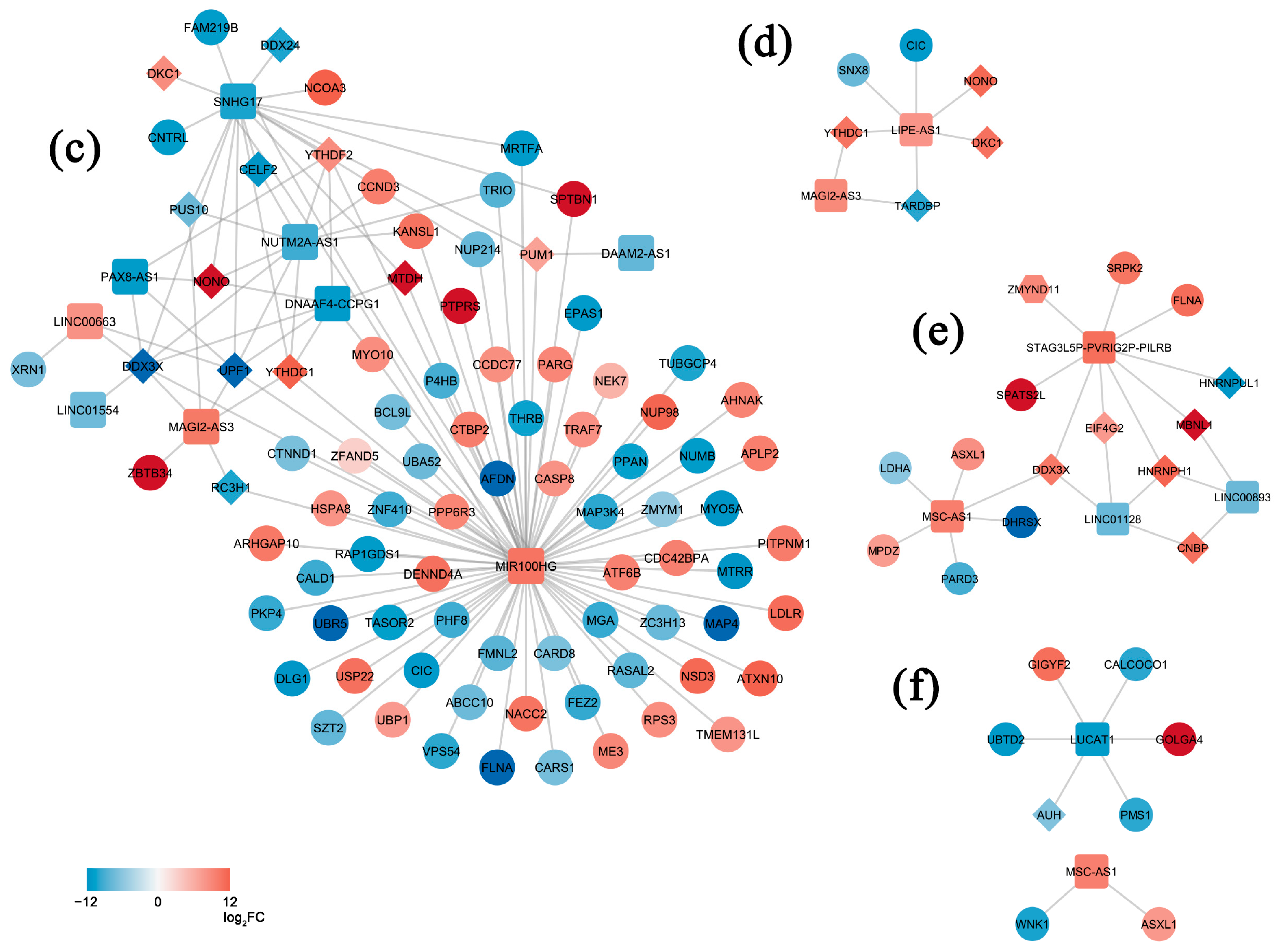 Ijms 25 03357 g003b Ijms 25 03357 g003b