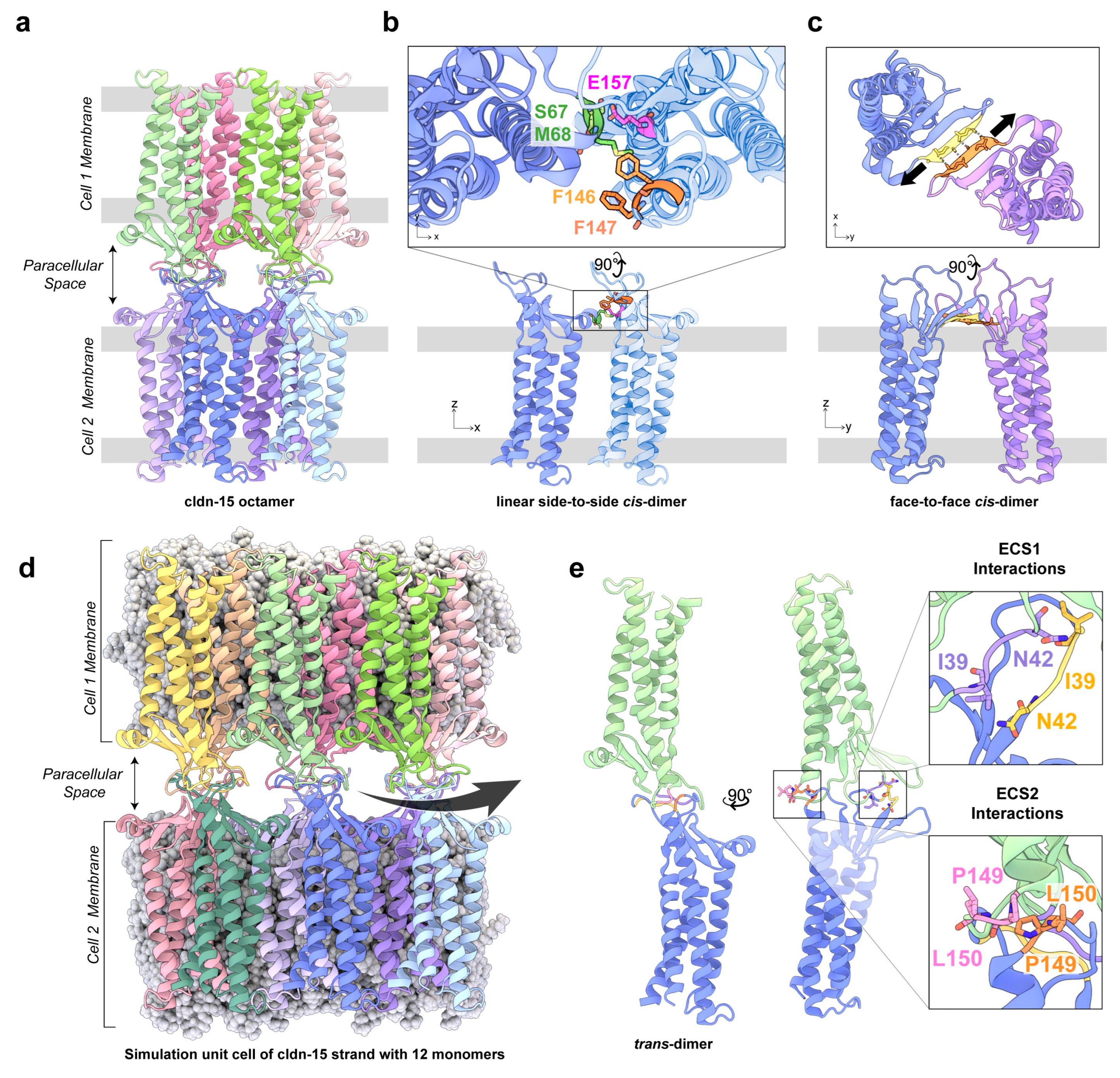 Ijms 25 03364 g001 Ijms 25 03364 g001