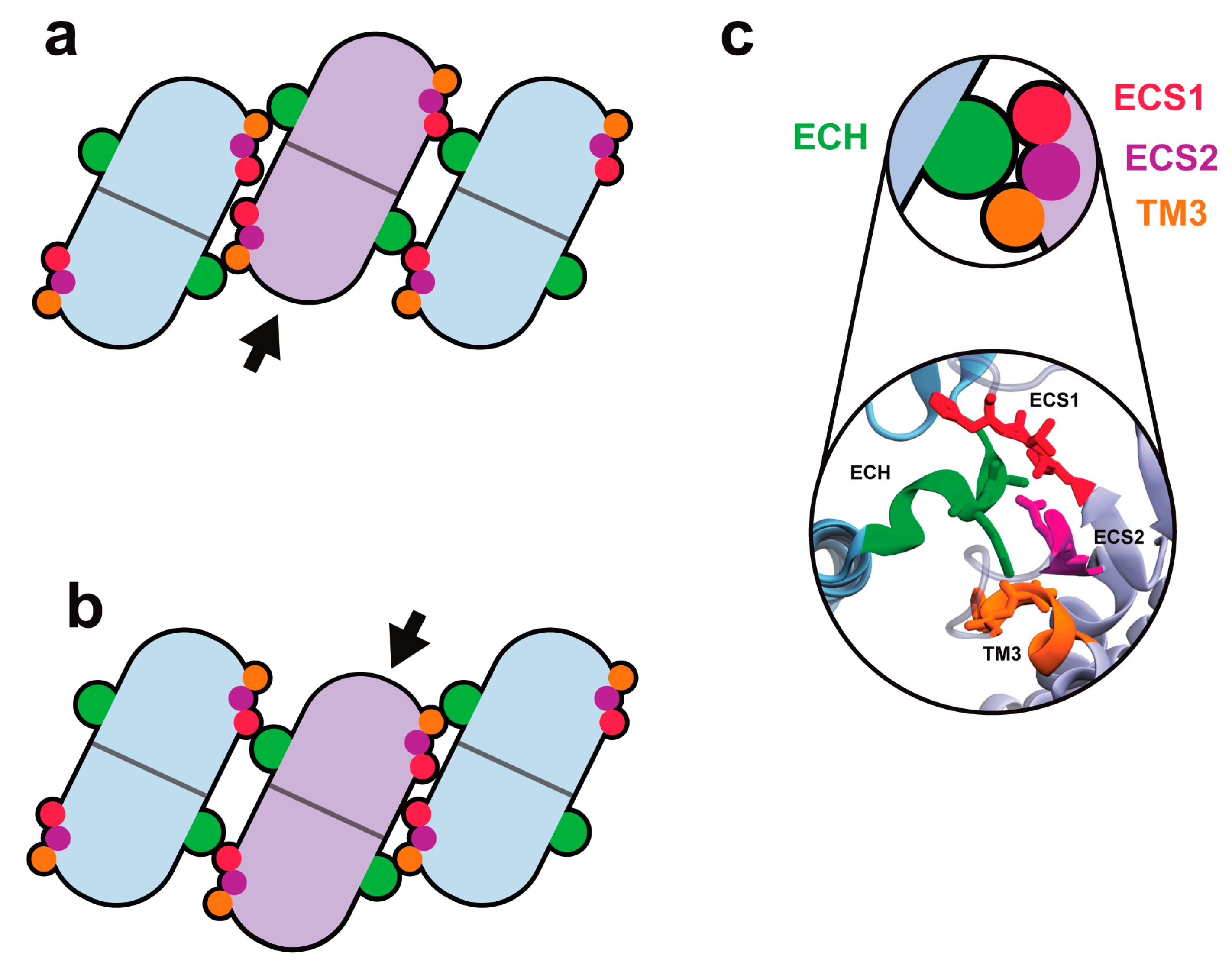 Ijms 25 03364 g003 Ijms 25 03364 g003