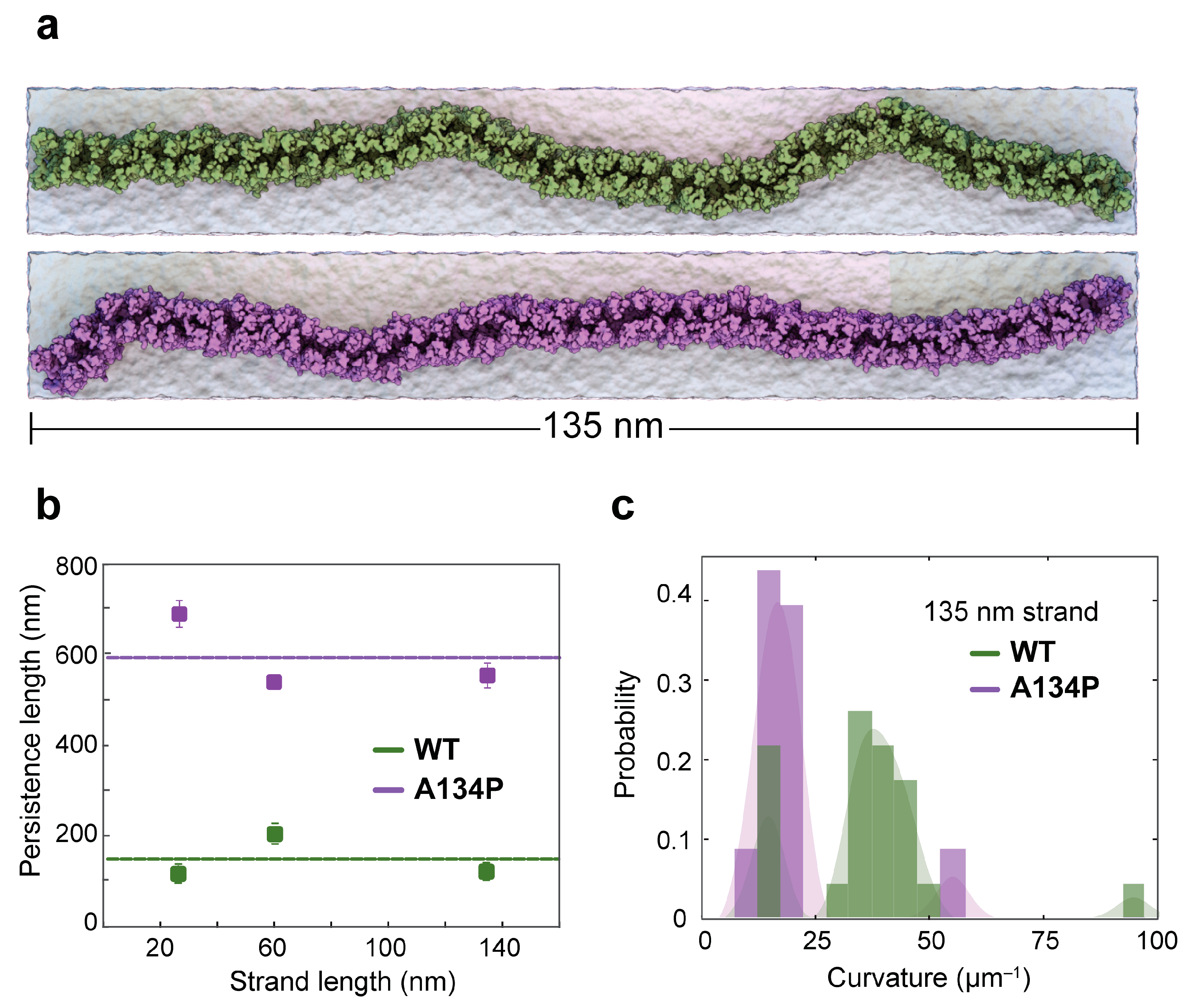 Ijms 25 03364 g004 Ijms 25 03364 g004