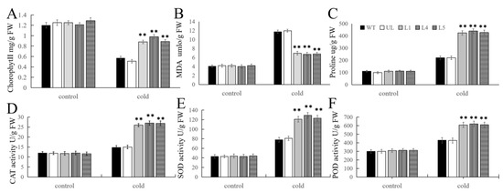 FvMYB108, a MYB Gene from Fragaria vesca, Positively