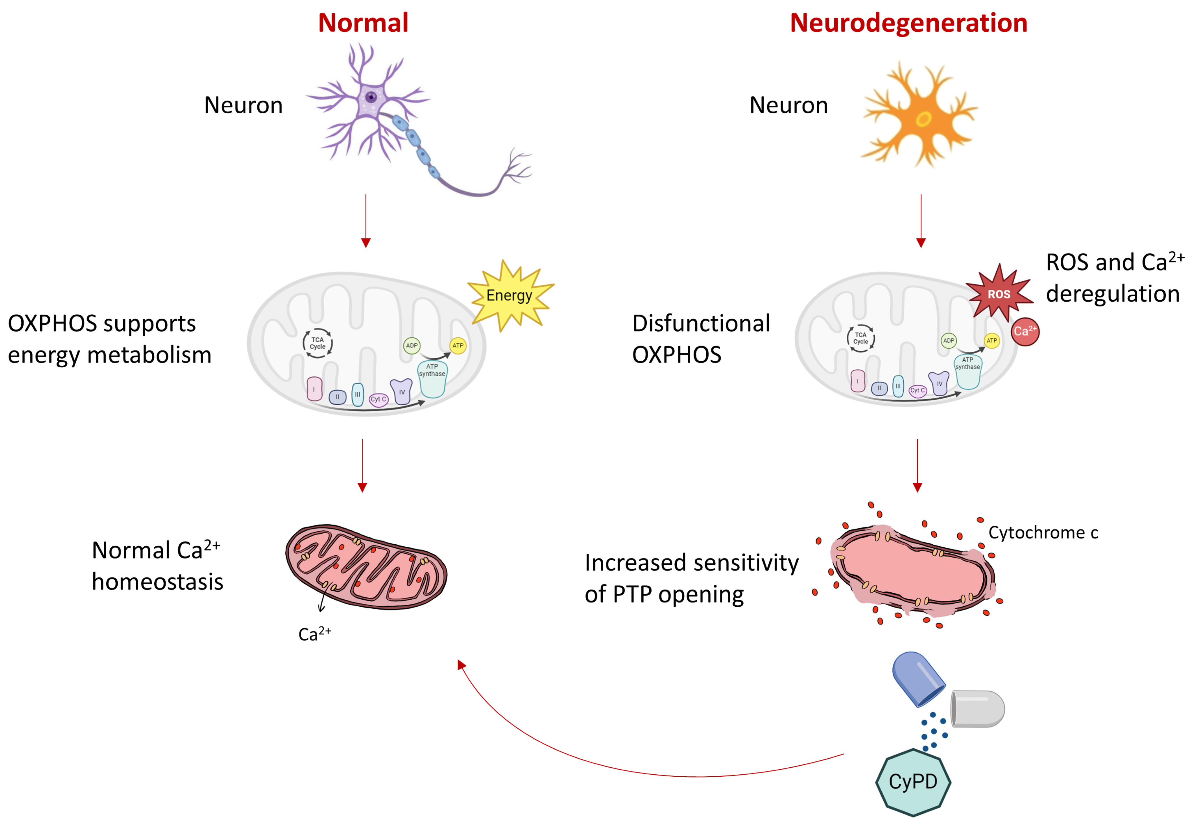 Ijms 25 03421 sch001