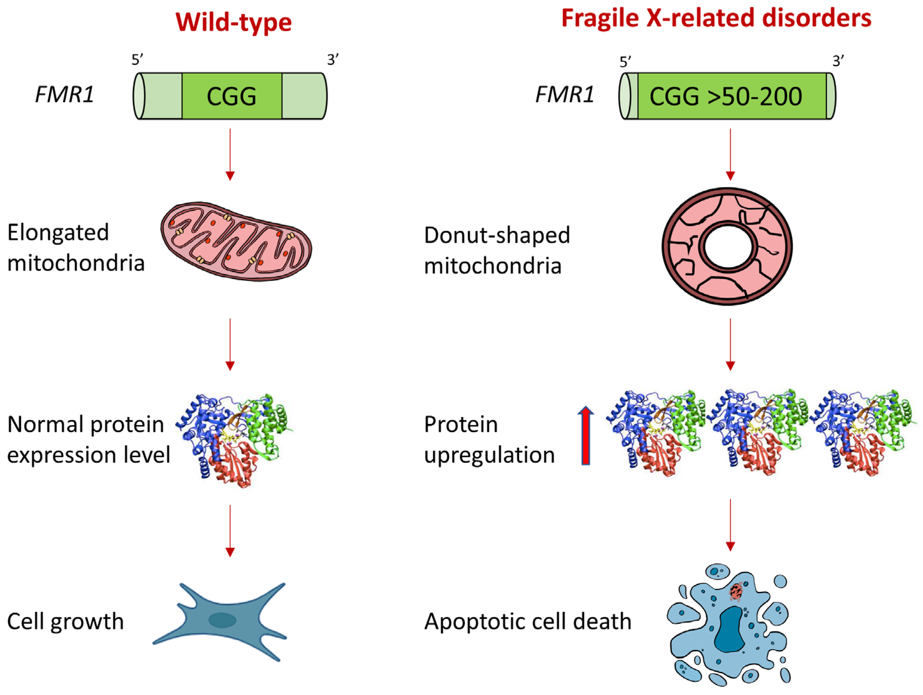 Ijms 25 03421 sch002
