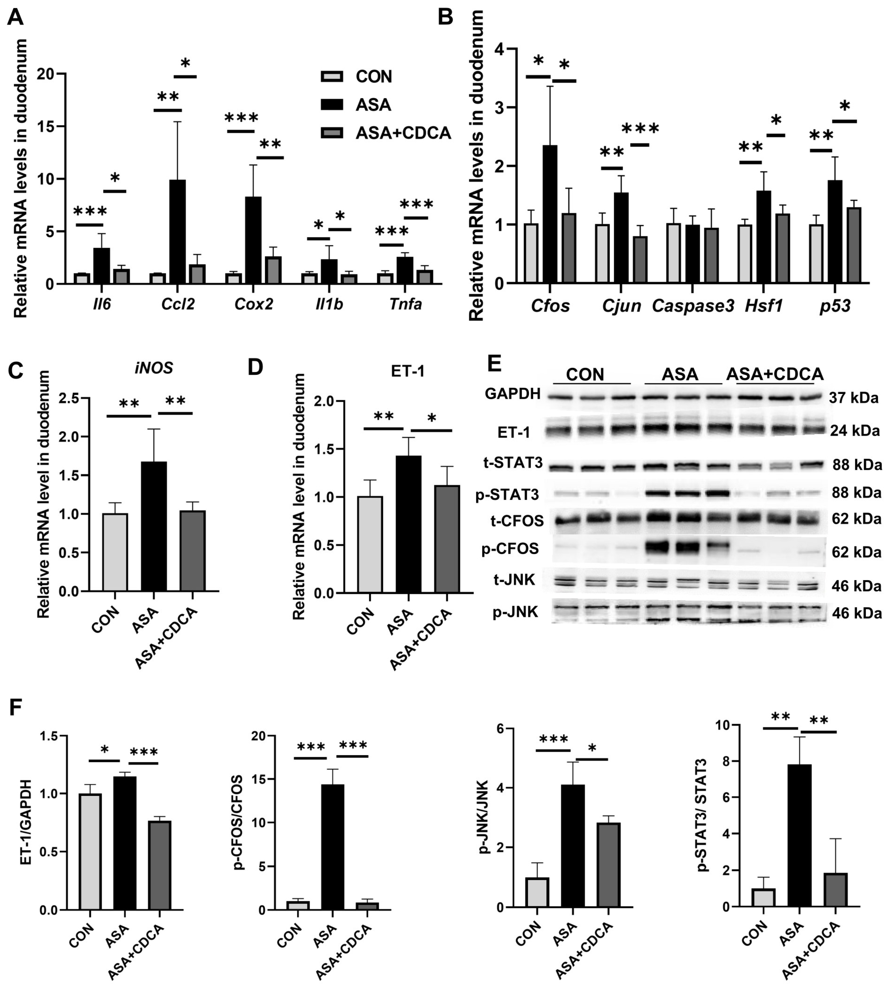Ijms 25 03424 g003 Ijms 25 03424 g003