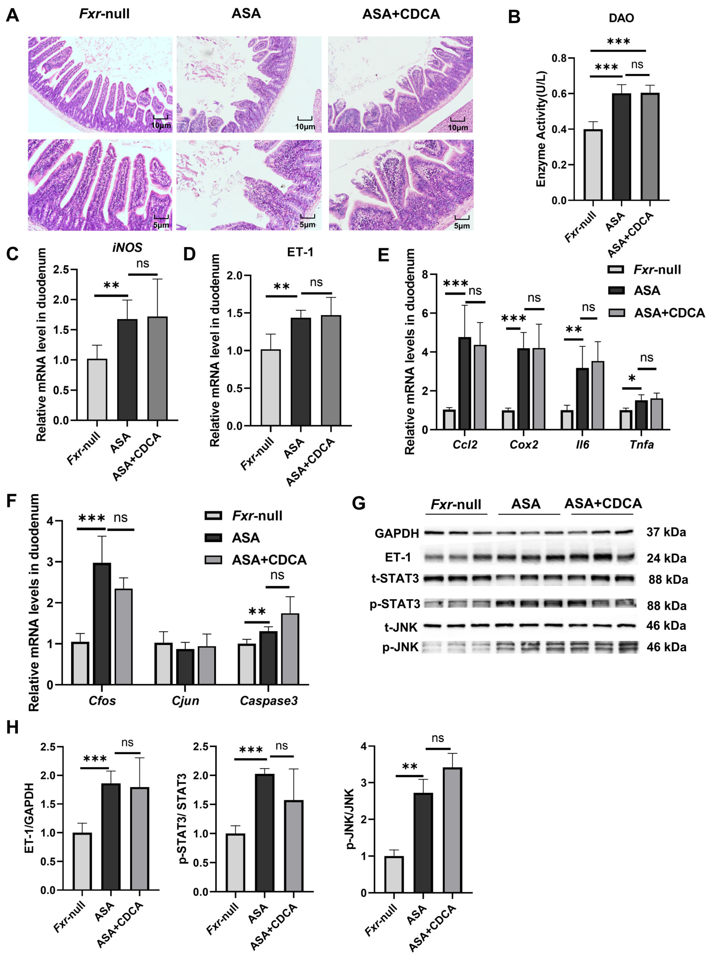 Ijms 25 03424 g004 Ijms 25 03424 g004
