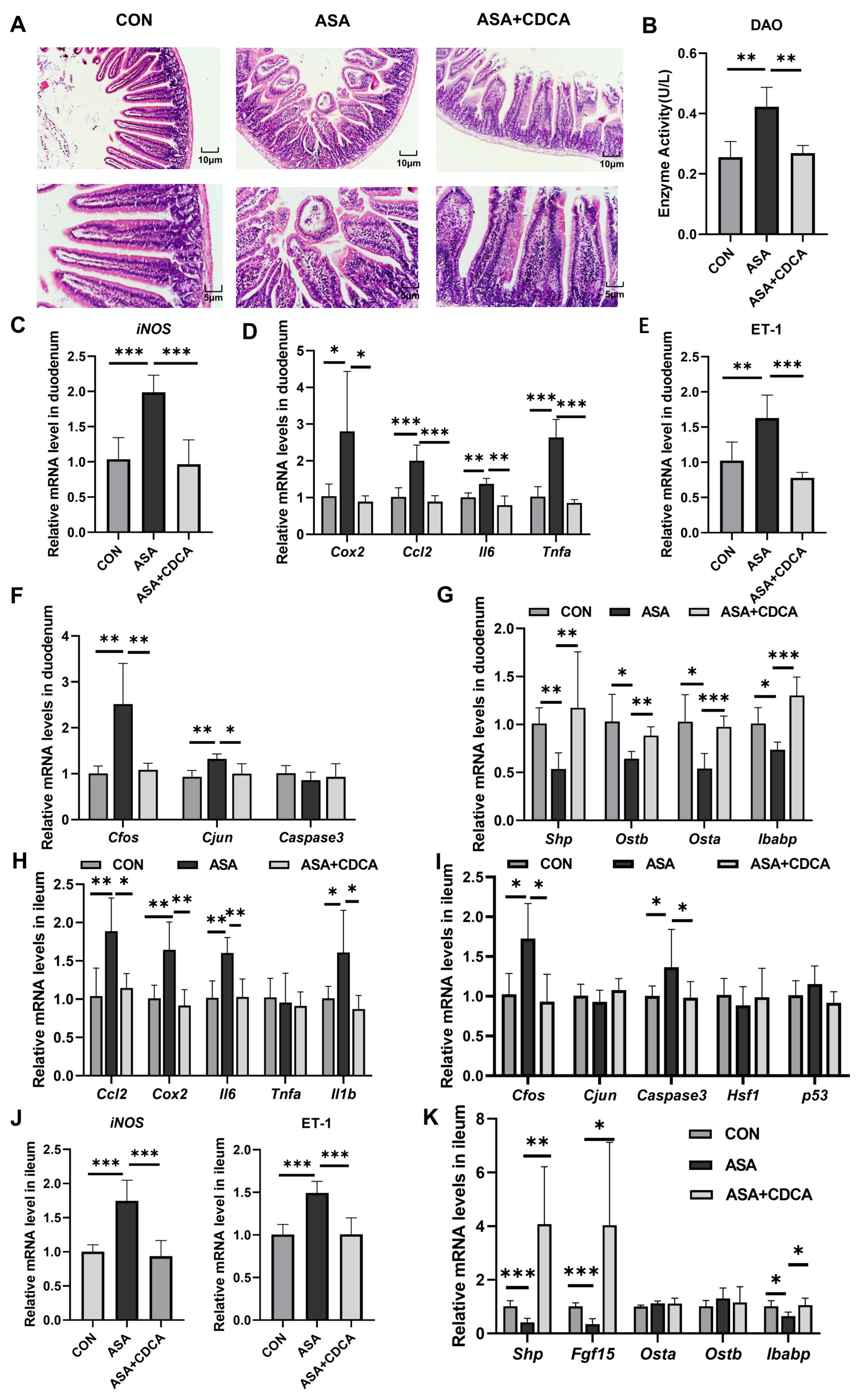 Ijms 25 03424 g006 Ijms 25 03424 g006