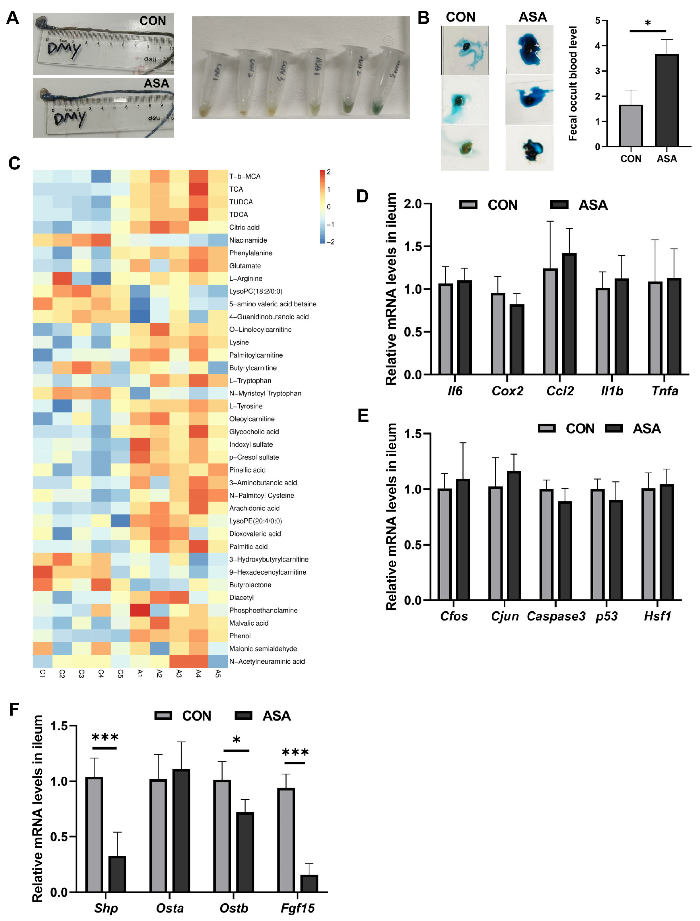 Ijms 25 03424 g0a1 Ijms 25 03424 g0a1