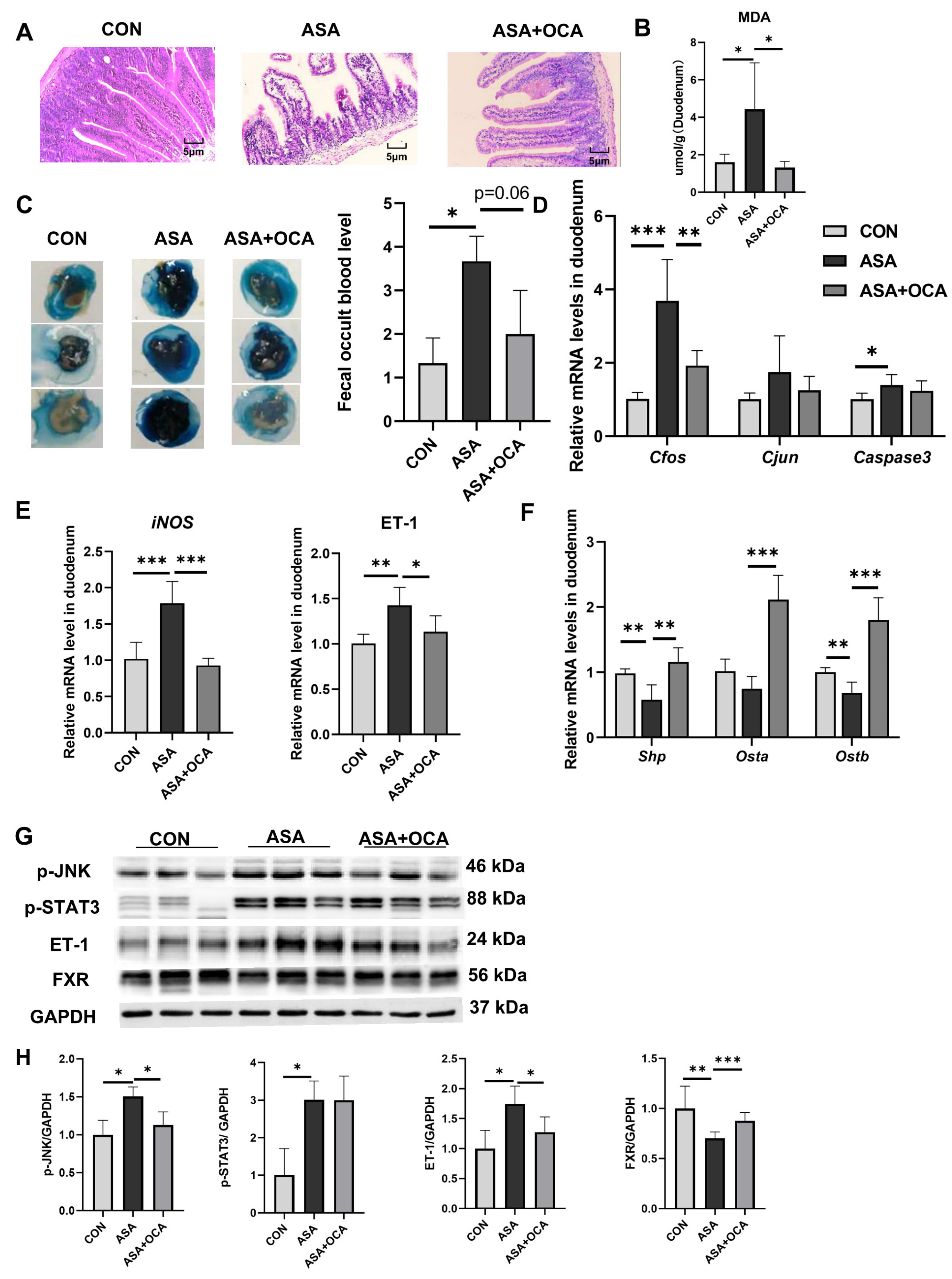 Ijms 25 03424 g0a2 Ijms 25 03424 g0a2