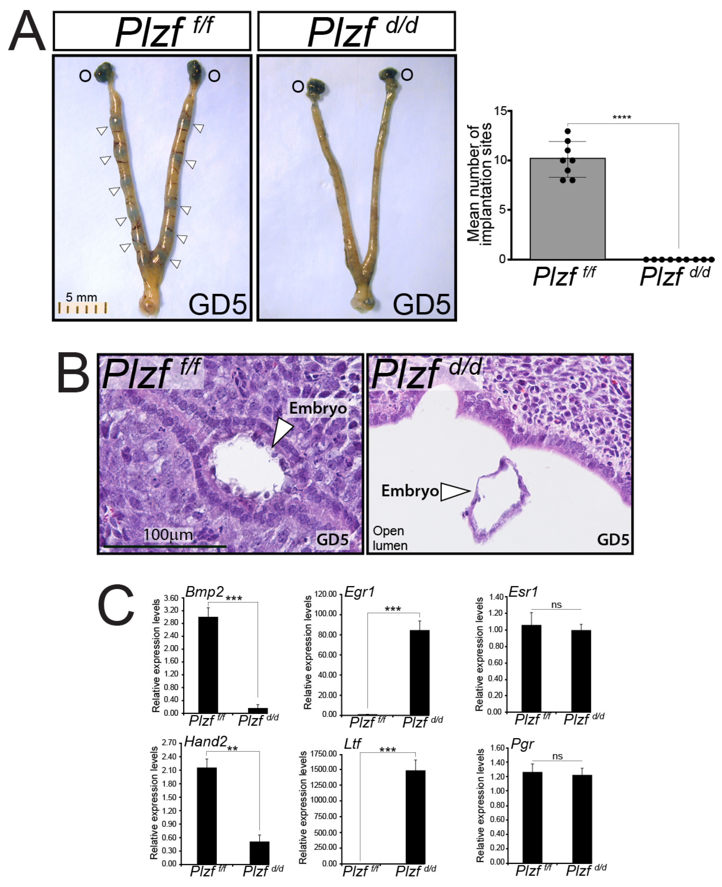Ijms 25 03451 g003 Ijms 25 03451 g003