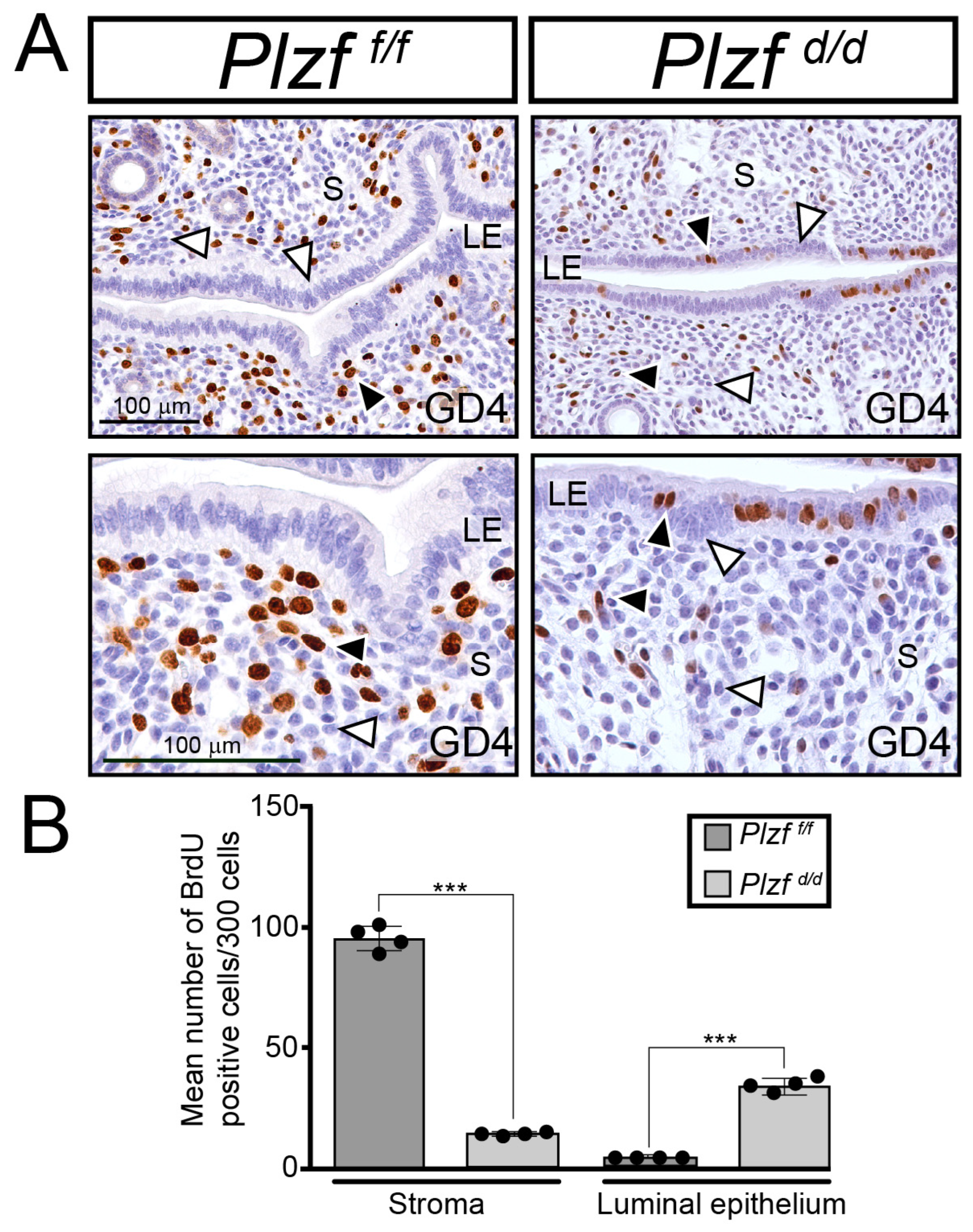 Ijms 25 03451 g004 Ijms 25 03451 g004