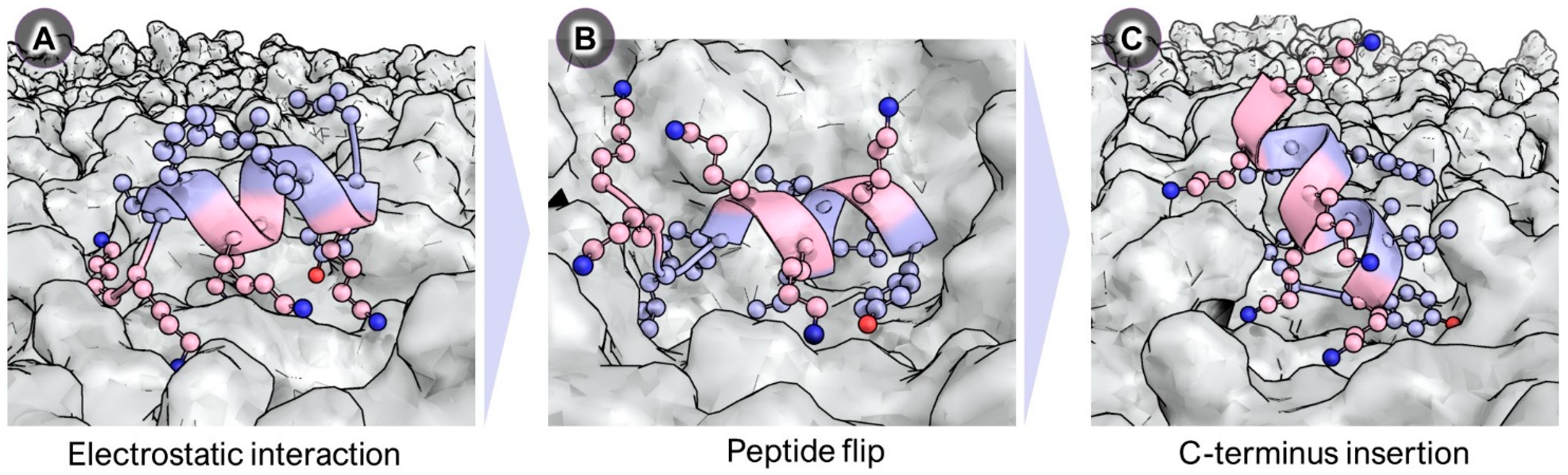 Ijms 25 03456 g005 Ijms 25 03456 g005