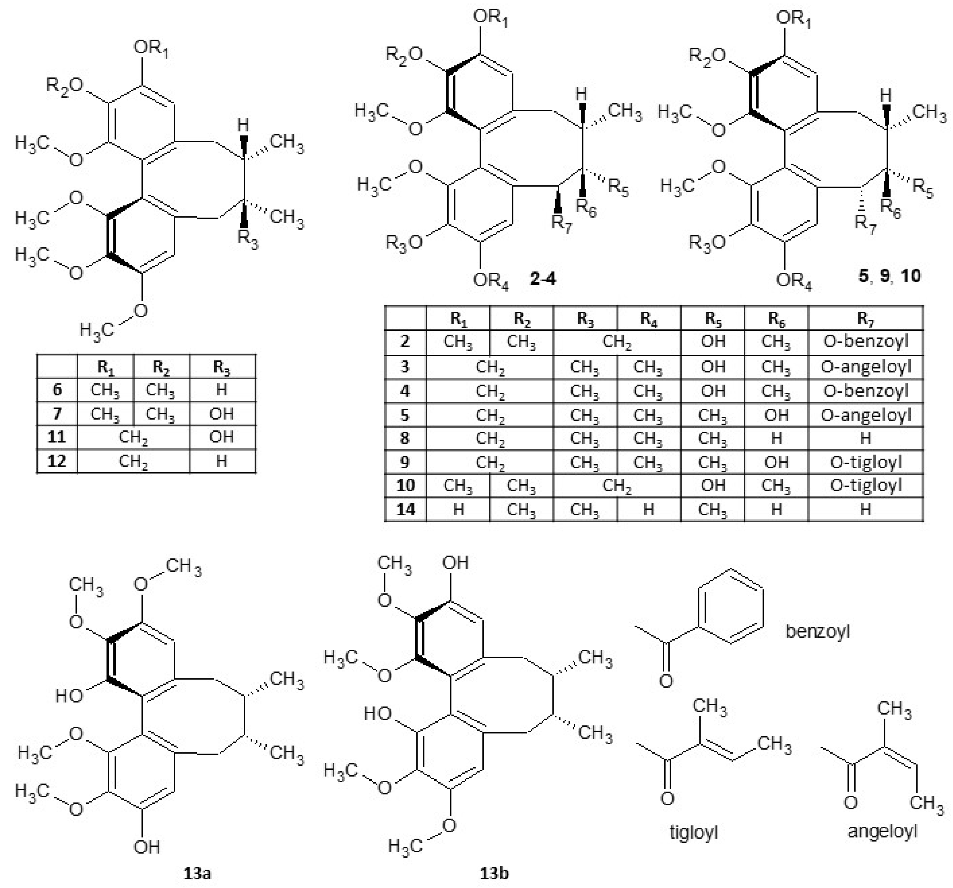 Ijms 25 03465 g001 Ijms 25 03465 g001