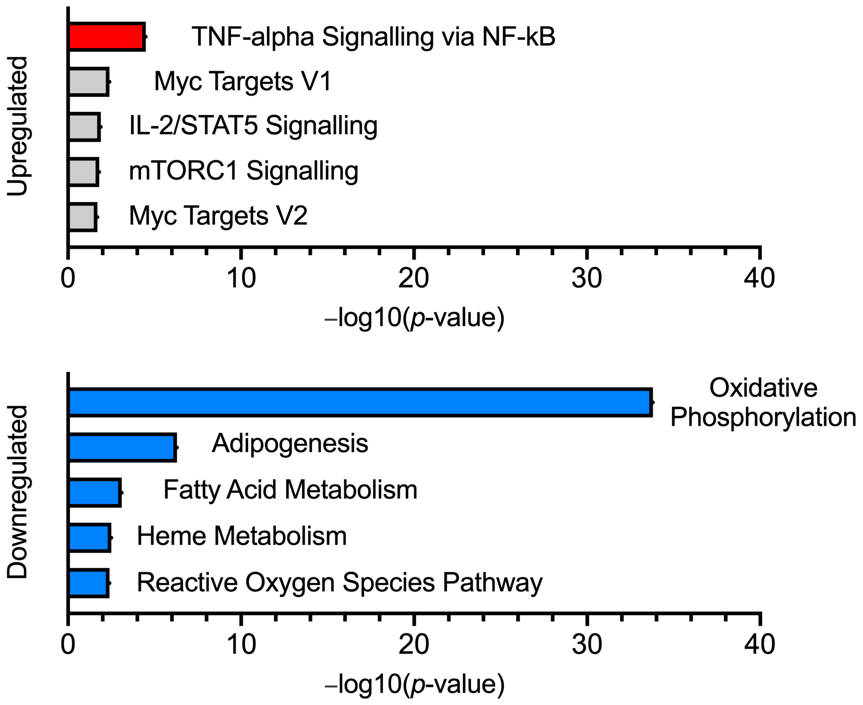 An Association between OXPHOS-Related Gene Expression and