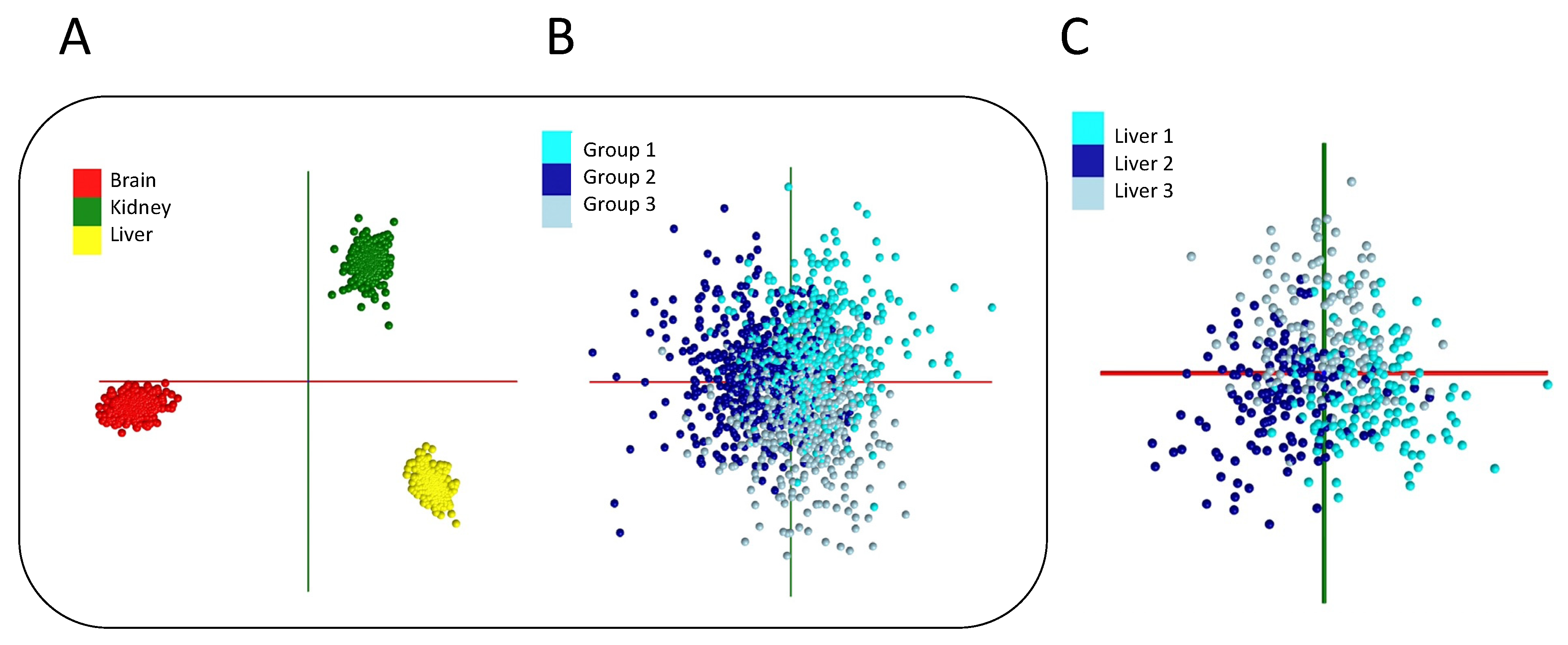 Ijms 25 03491 g001 Ijms 25 03491 g001