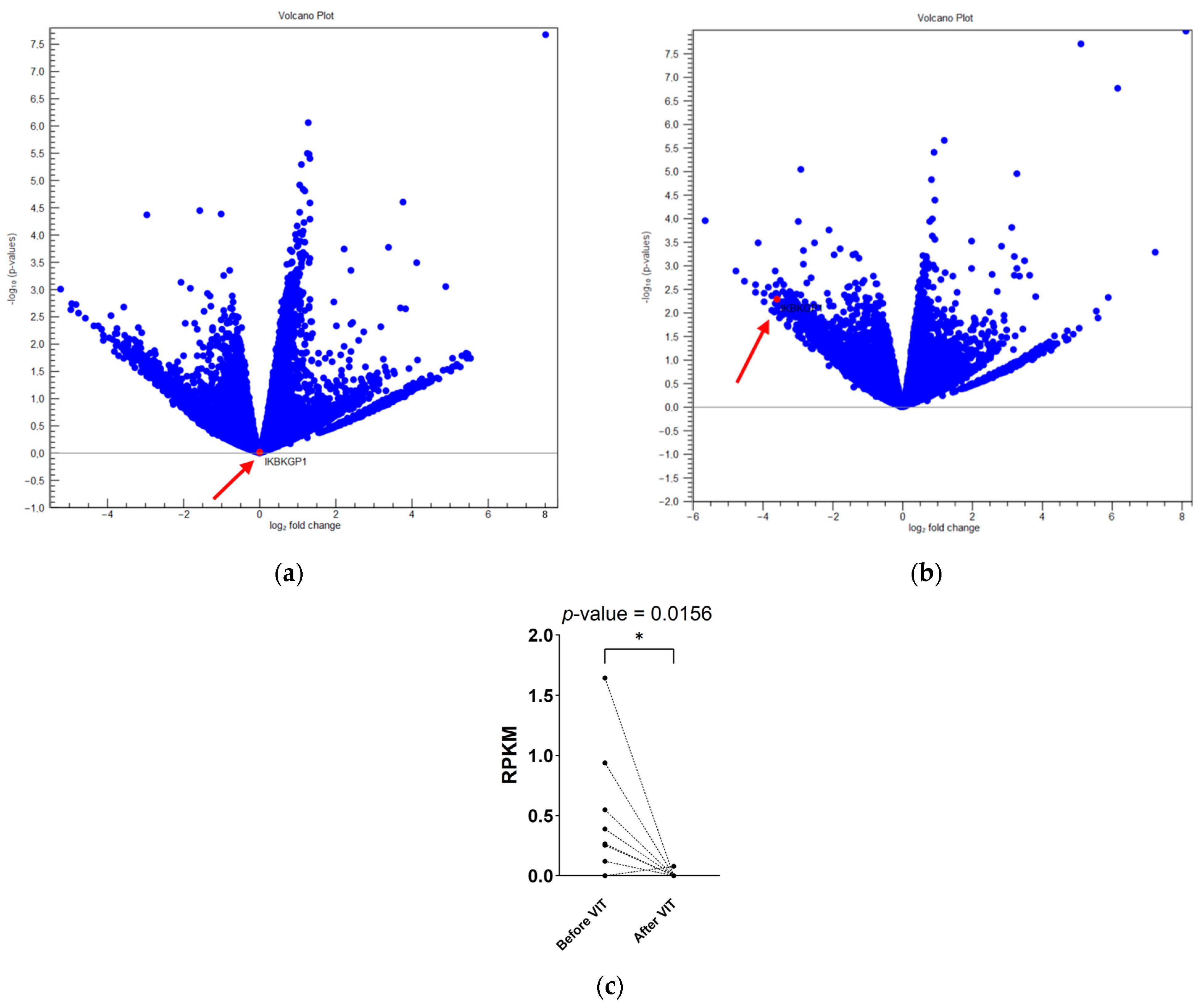 Ijms 25 03499 g002 Ijms 25 03499 g002