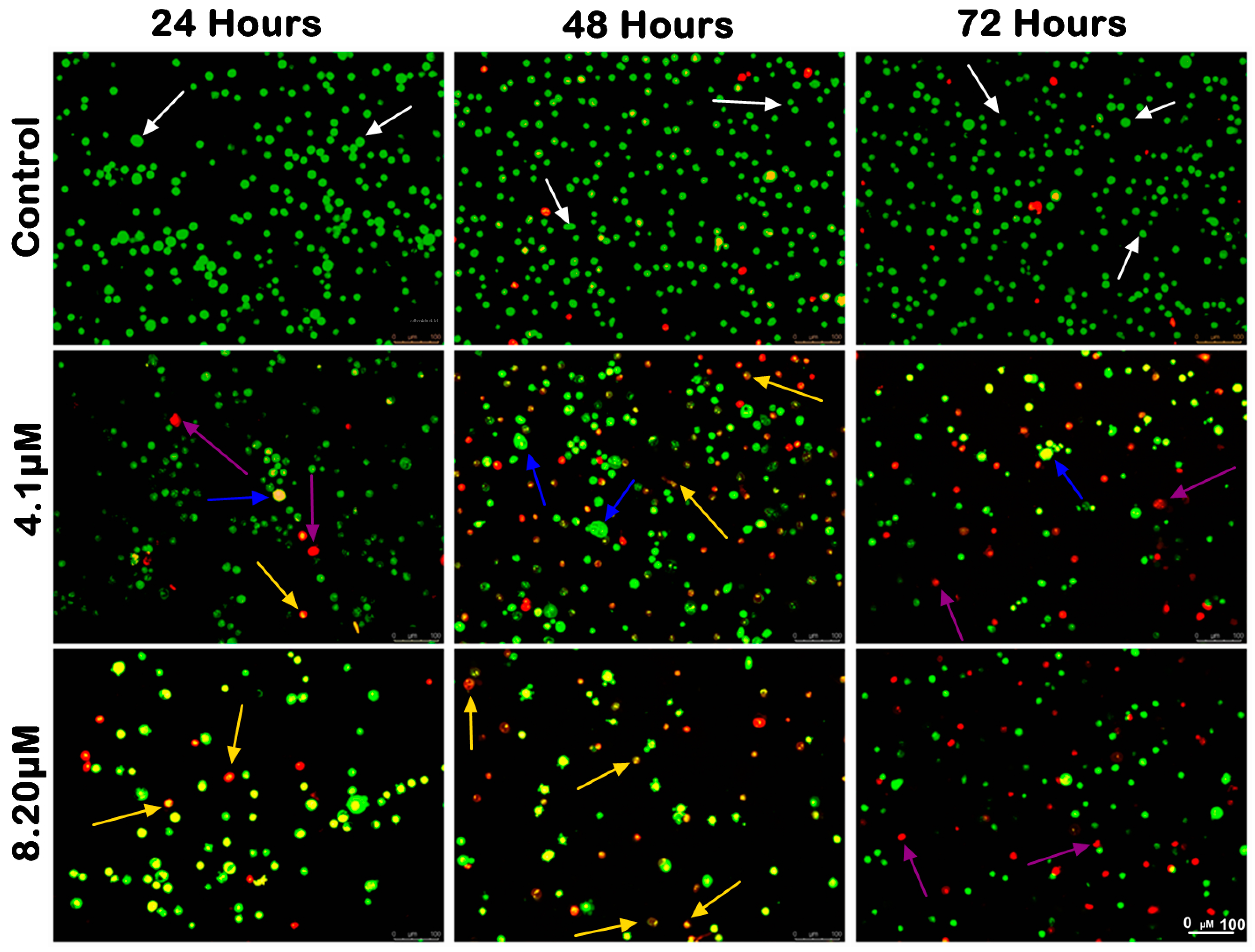 Ijms 25 03503 g004 Ijms 25 03503 g004