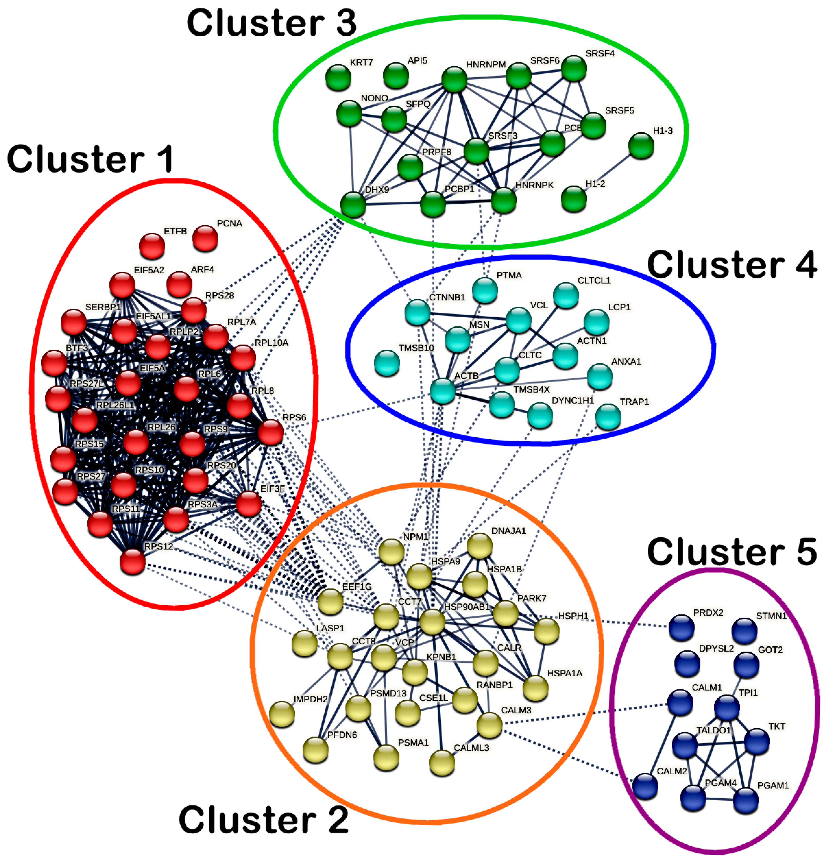 Ijms 25 03503 g010 Ijms 25 03503 g010