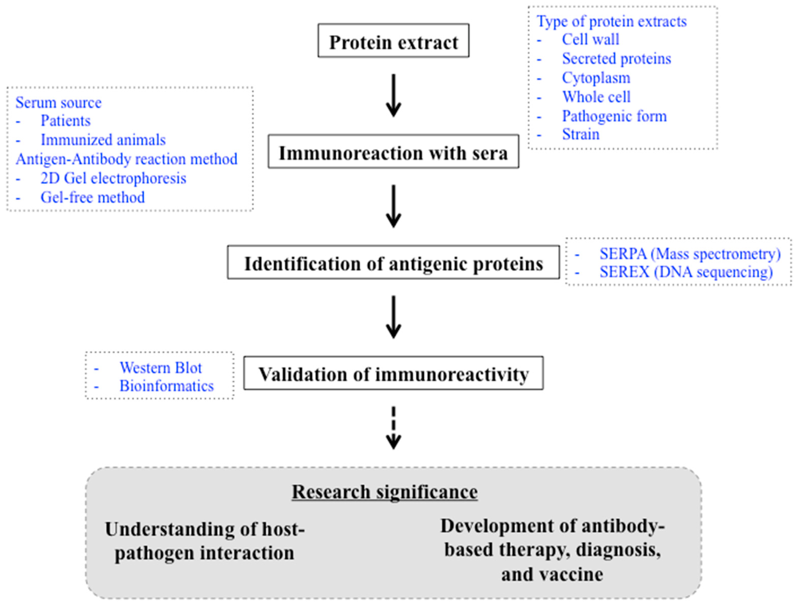 Ijms 25 03531 g001 Ijms 25 03531 g001