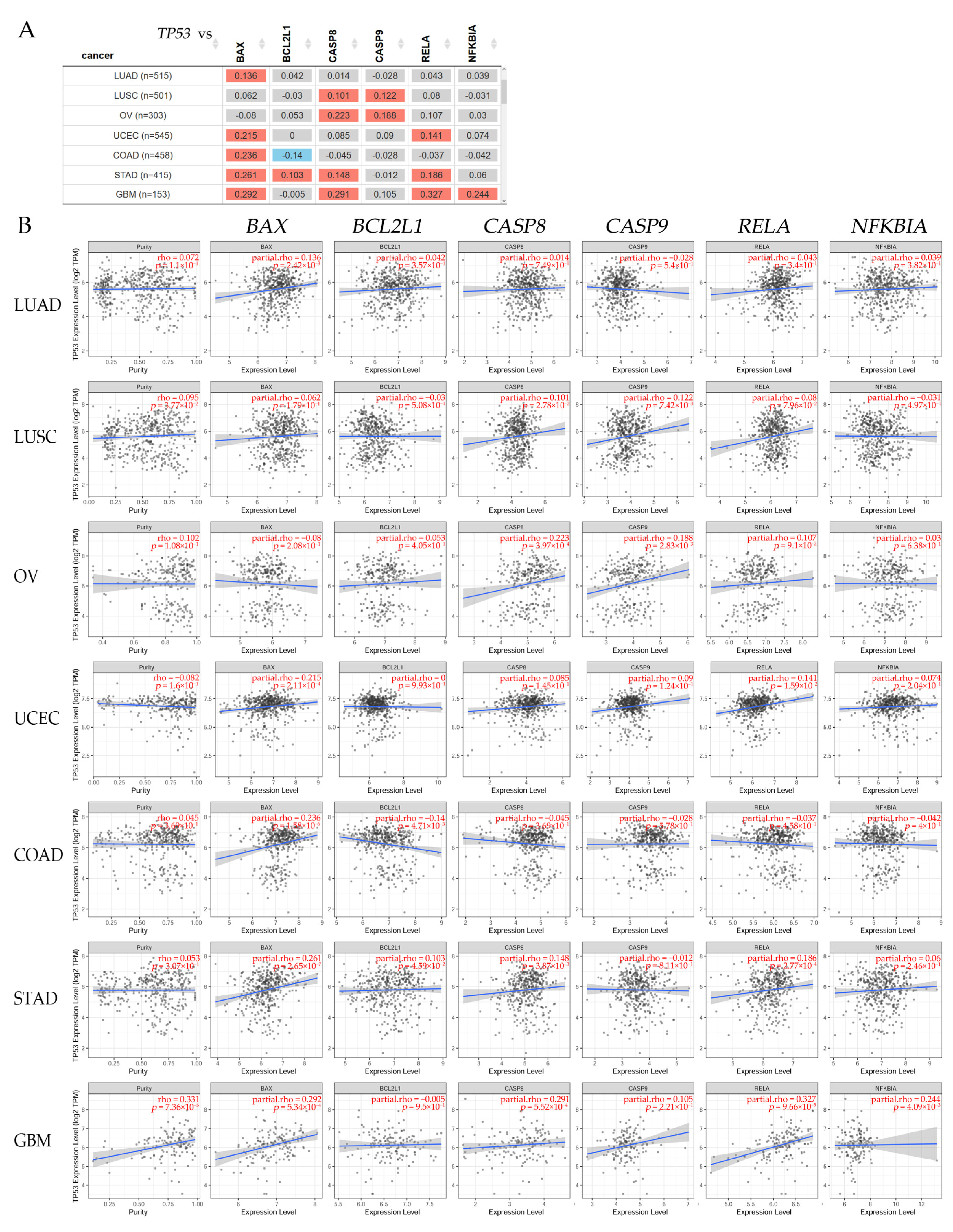 Ijms 25 03536 g005 Ijms 25 03536 g005