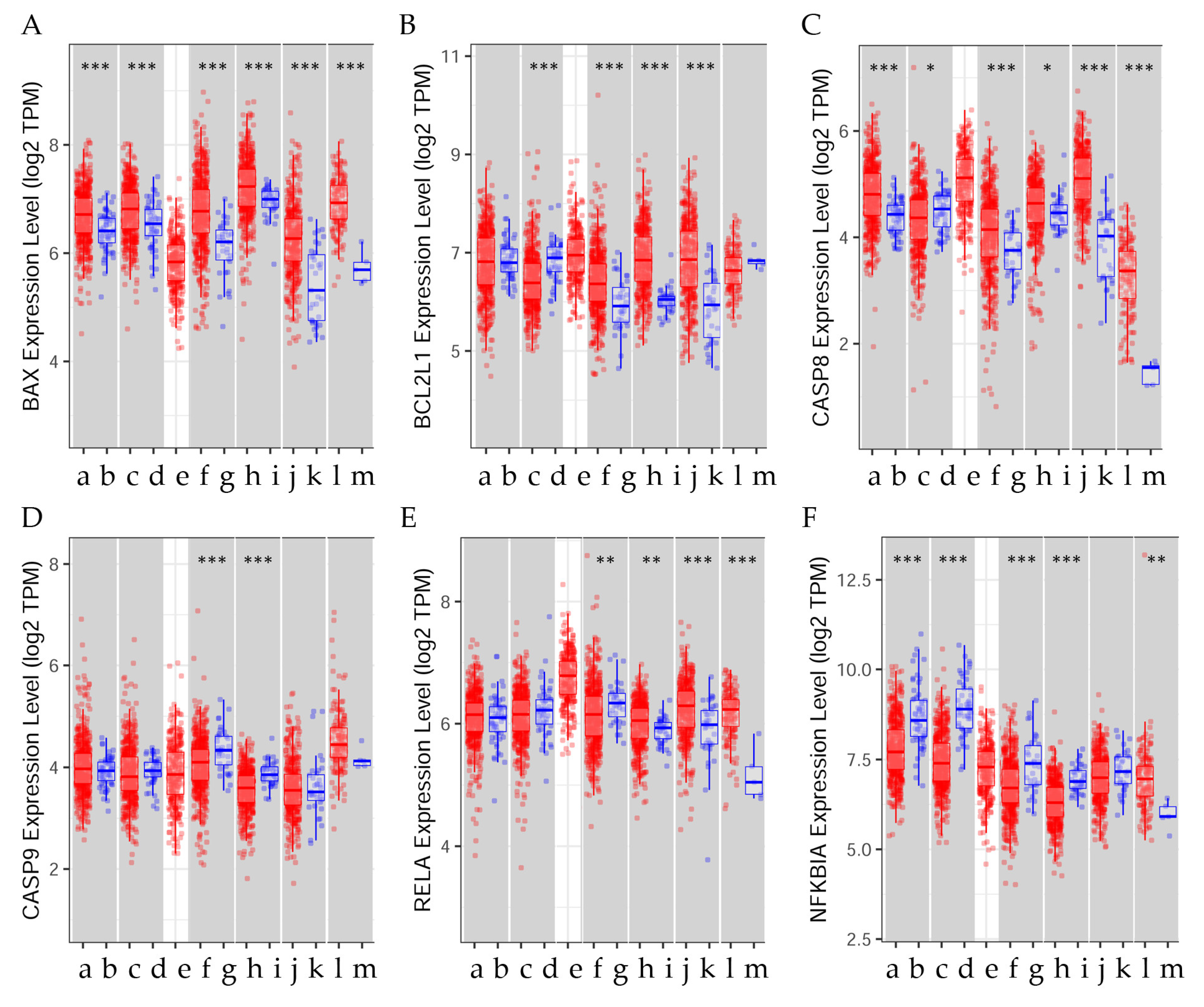 Ijms 25 03536 g006 Ijms 25 03536 g006