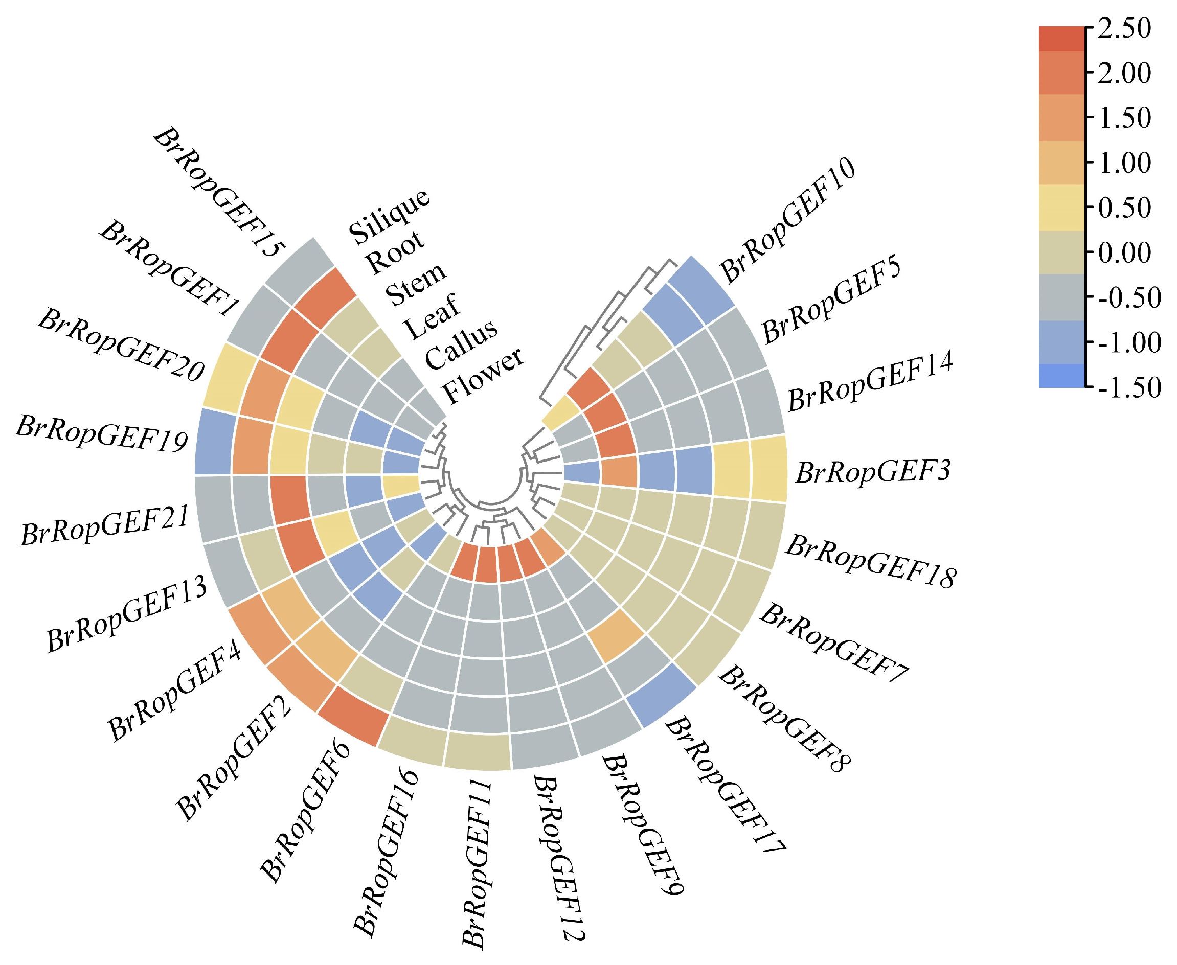 Ijms 25 03541 g006 Ijms 25 03541 g006