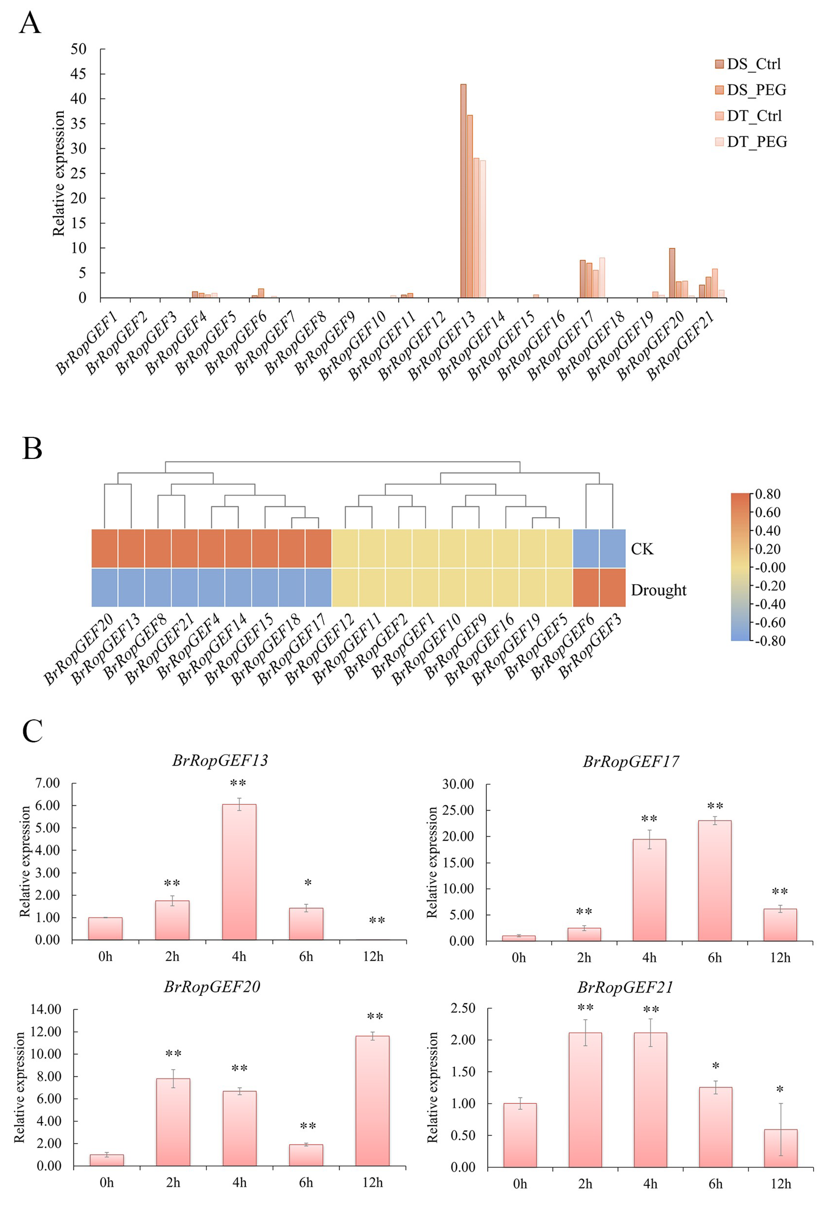 Ijms 25 03541 g007 Ijms 25 03541 g007