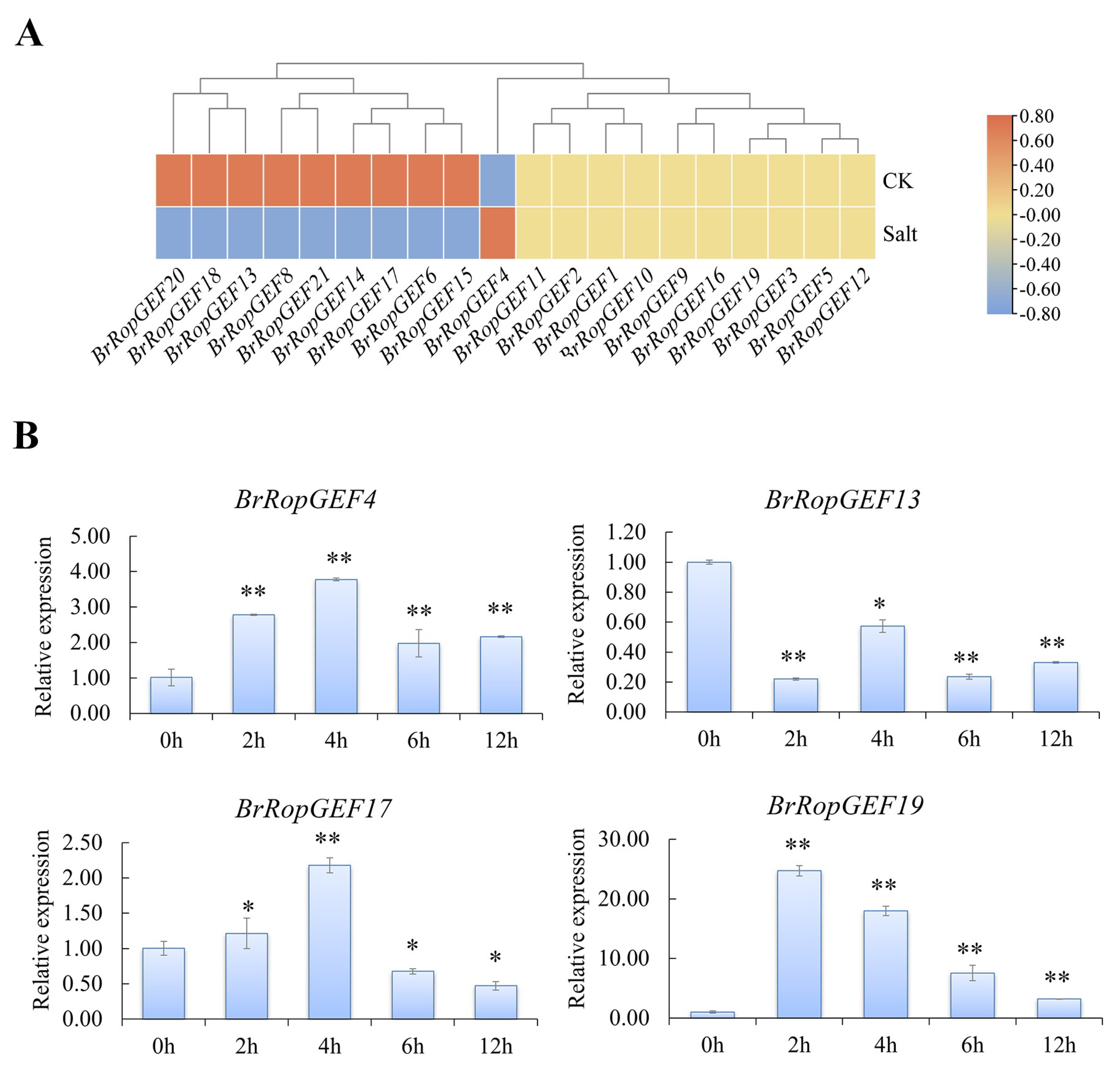 Ijms 25 03541 g008 Ijms 25 03541 g008