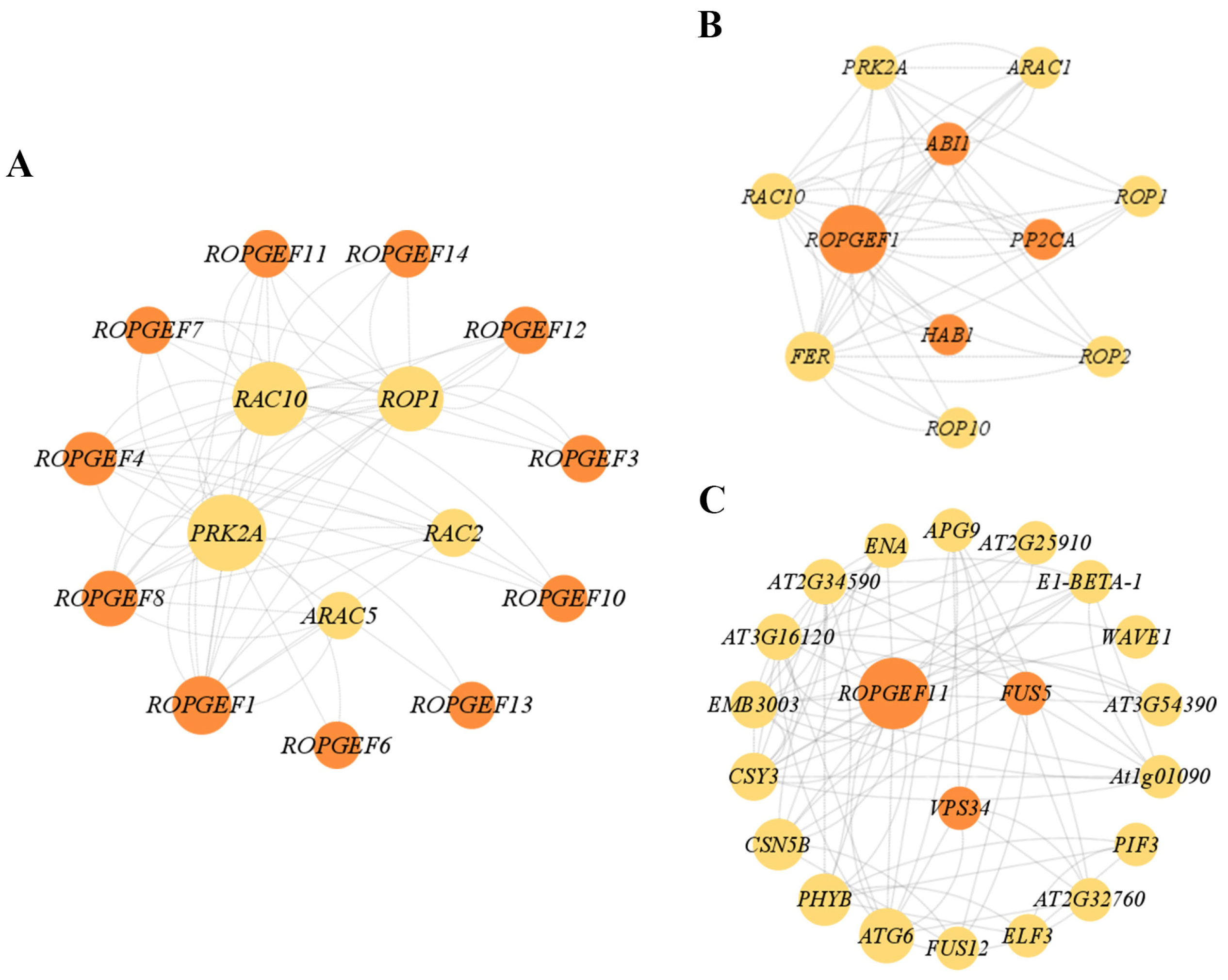 Ijms 25 03541 g010 Ijms 25 03541 g010