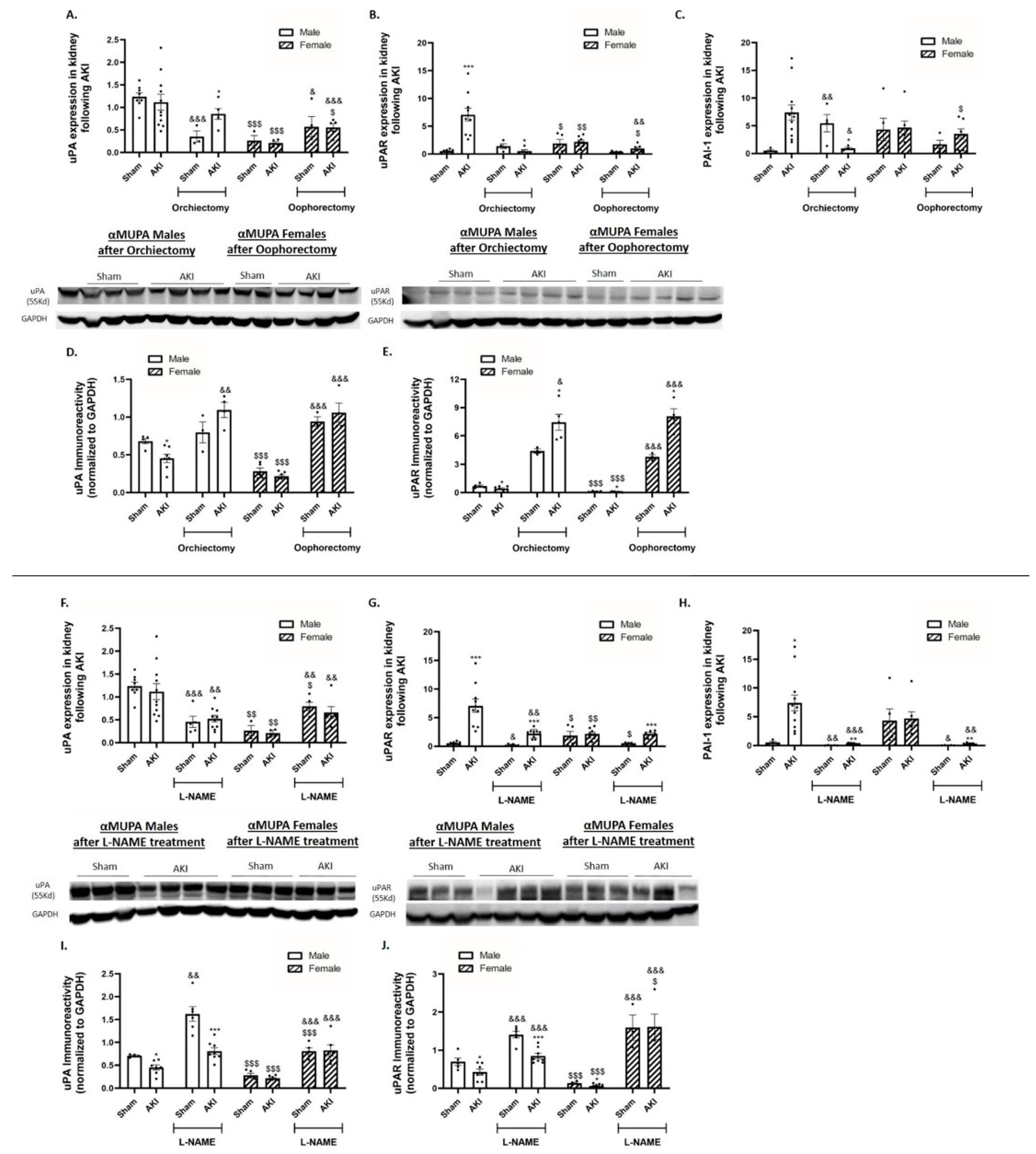 Ijms 25 03544 g003 Ijms 25 03544 g003