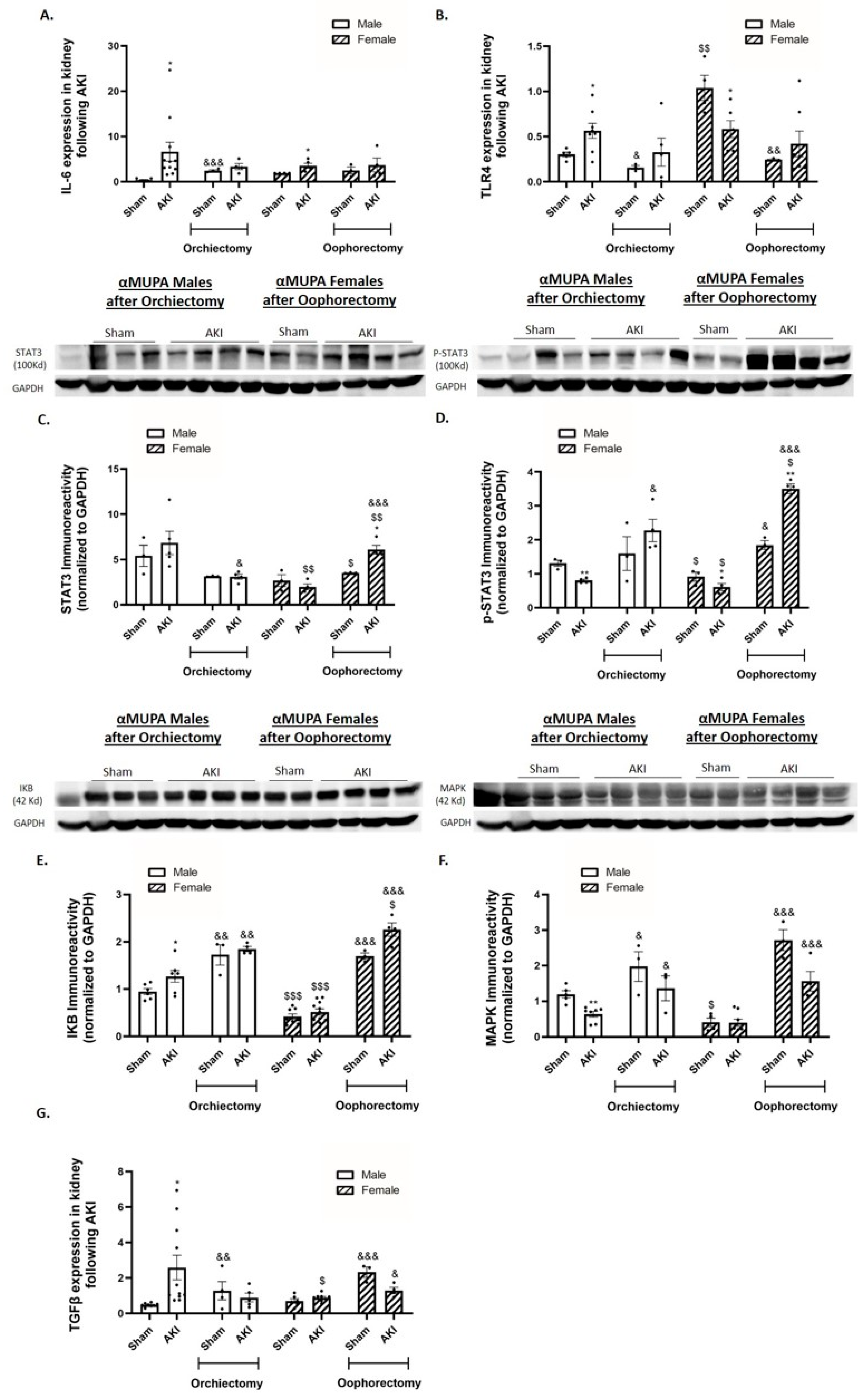 Ijms 25 03544 g005a Ijms 25 03544 g005a