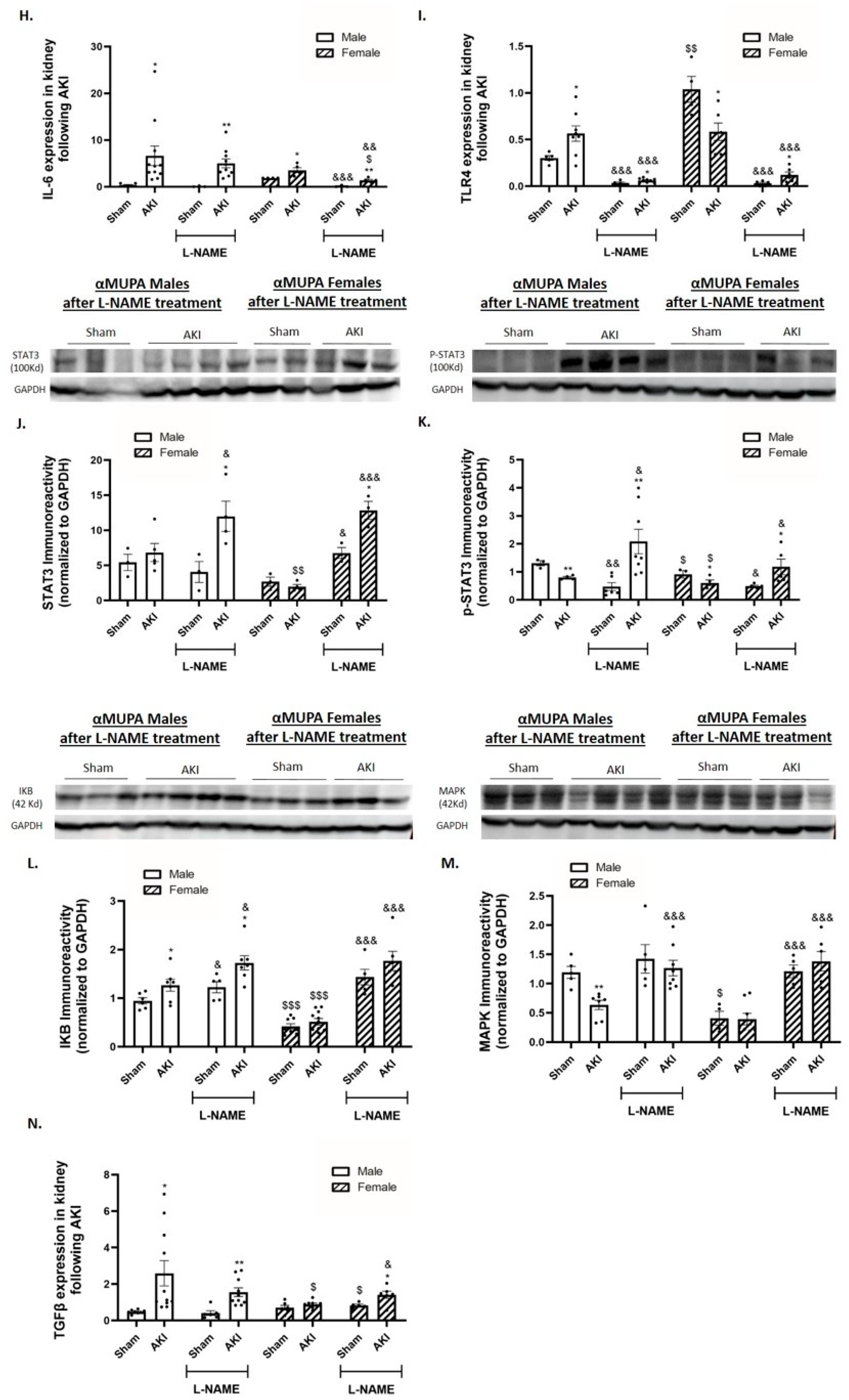 Ijms 25 03544 g005b Ijms 25 03544 g005b