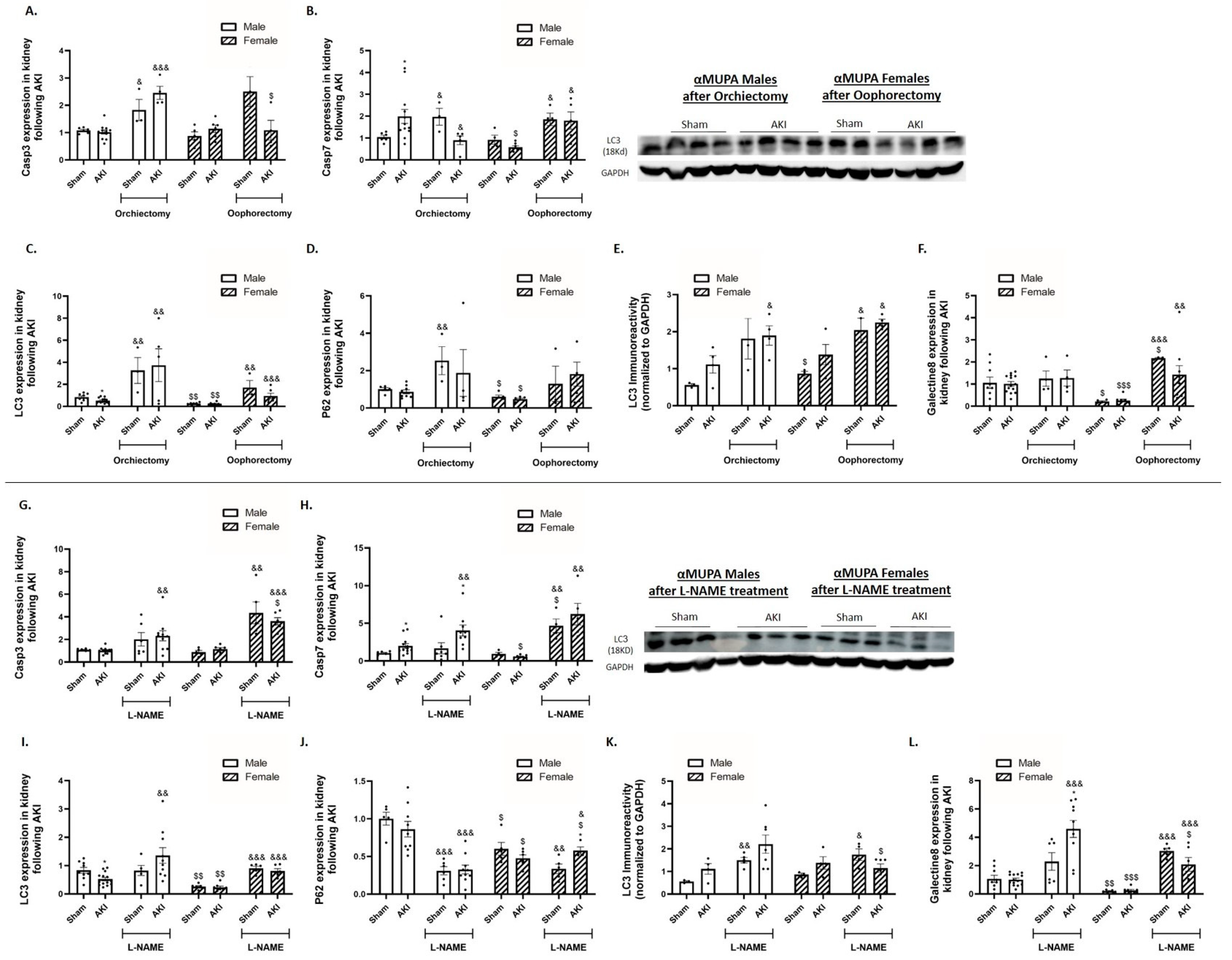 Ijms 25 03544 g006 Ijms 25 03544 g006