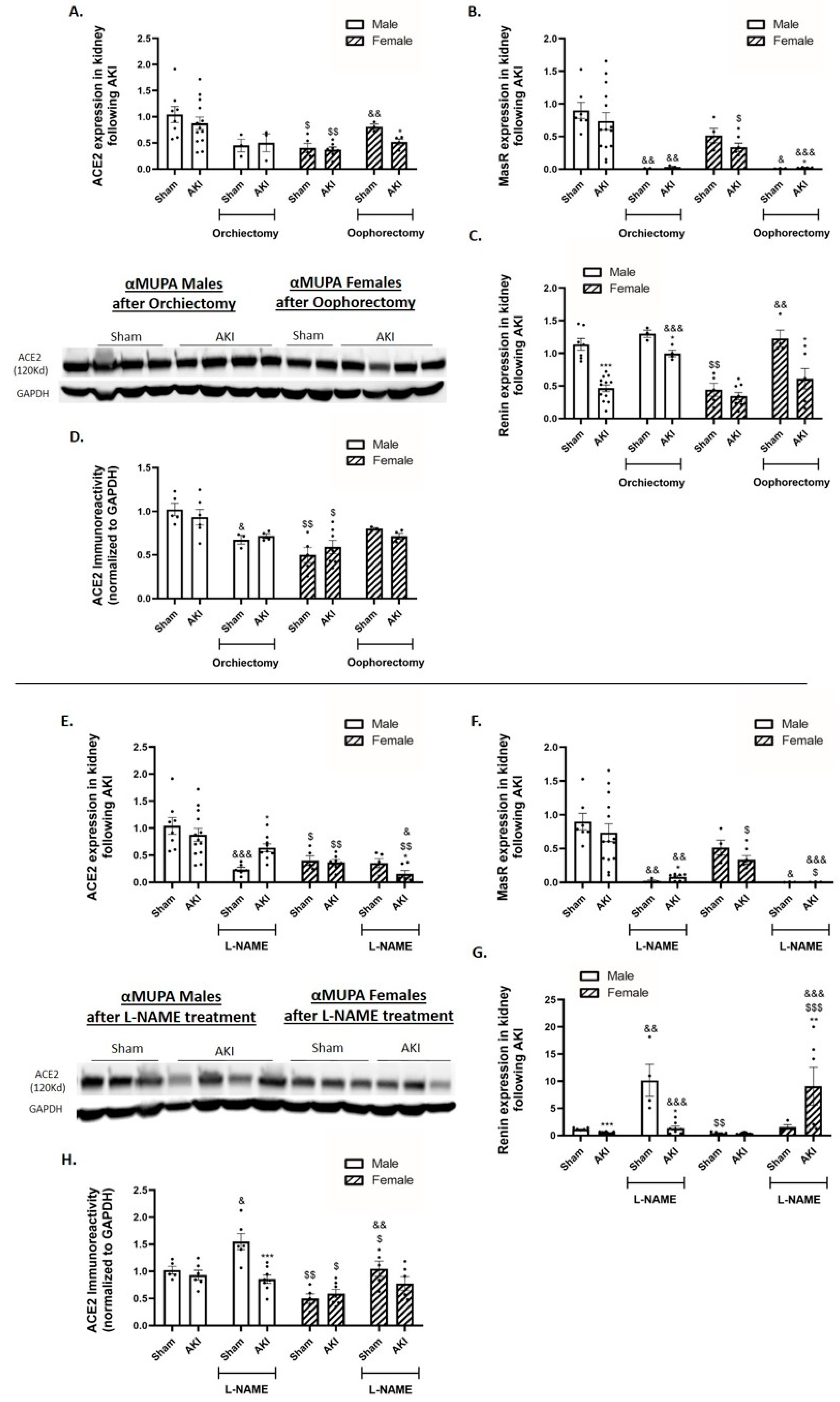Ijms 25 03544 g007 Ijms 25 03544 g007