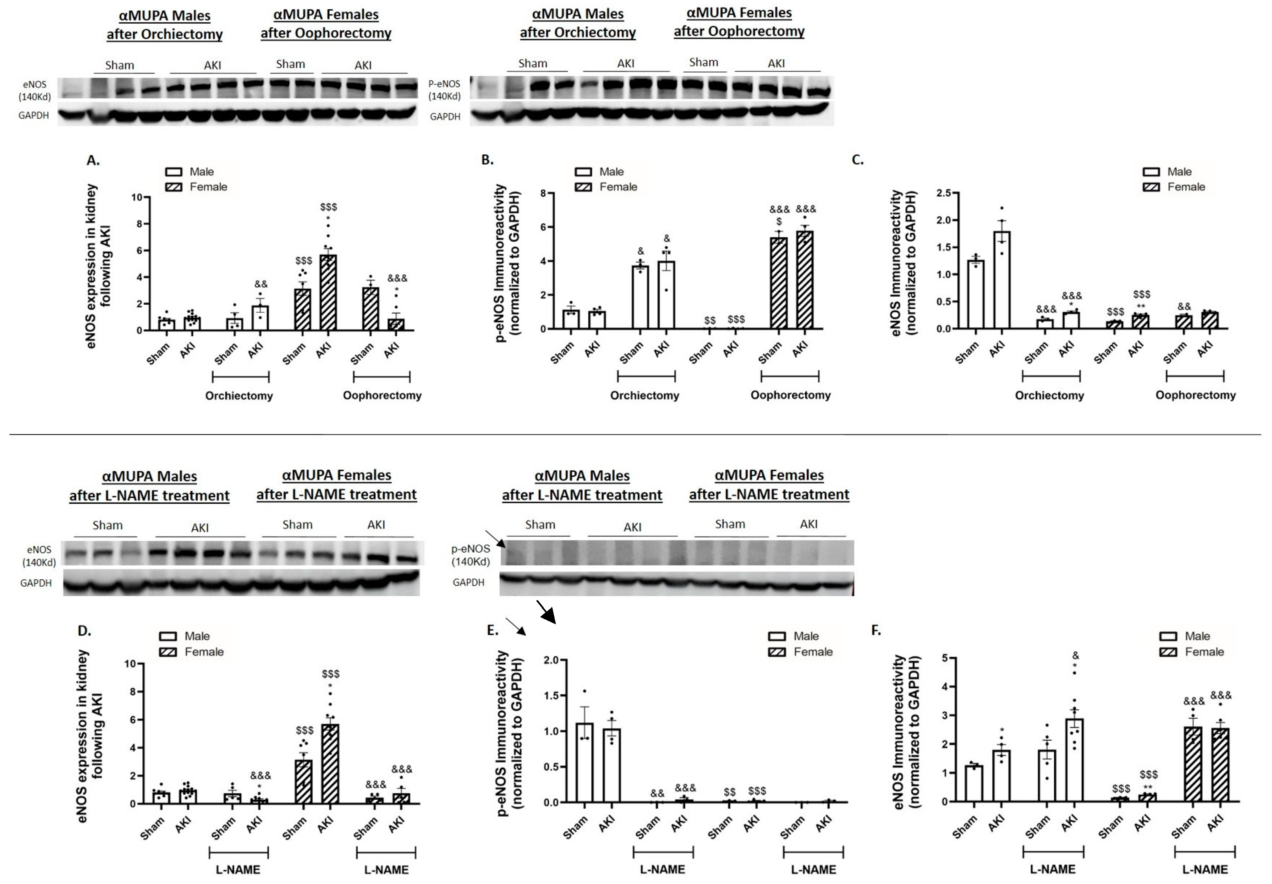 Ijms 25 03544 g008 Ijms 25 03544 g008