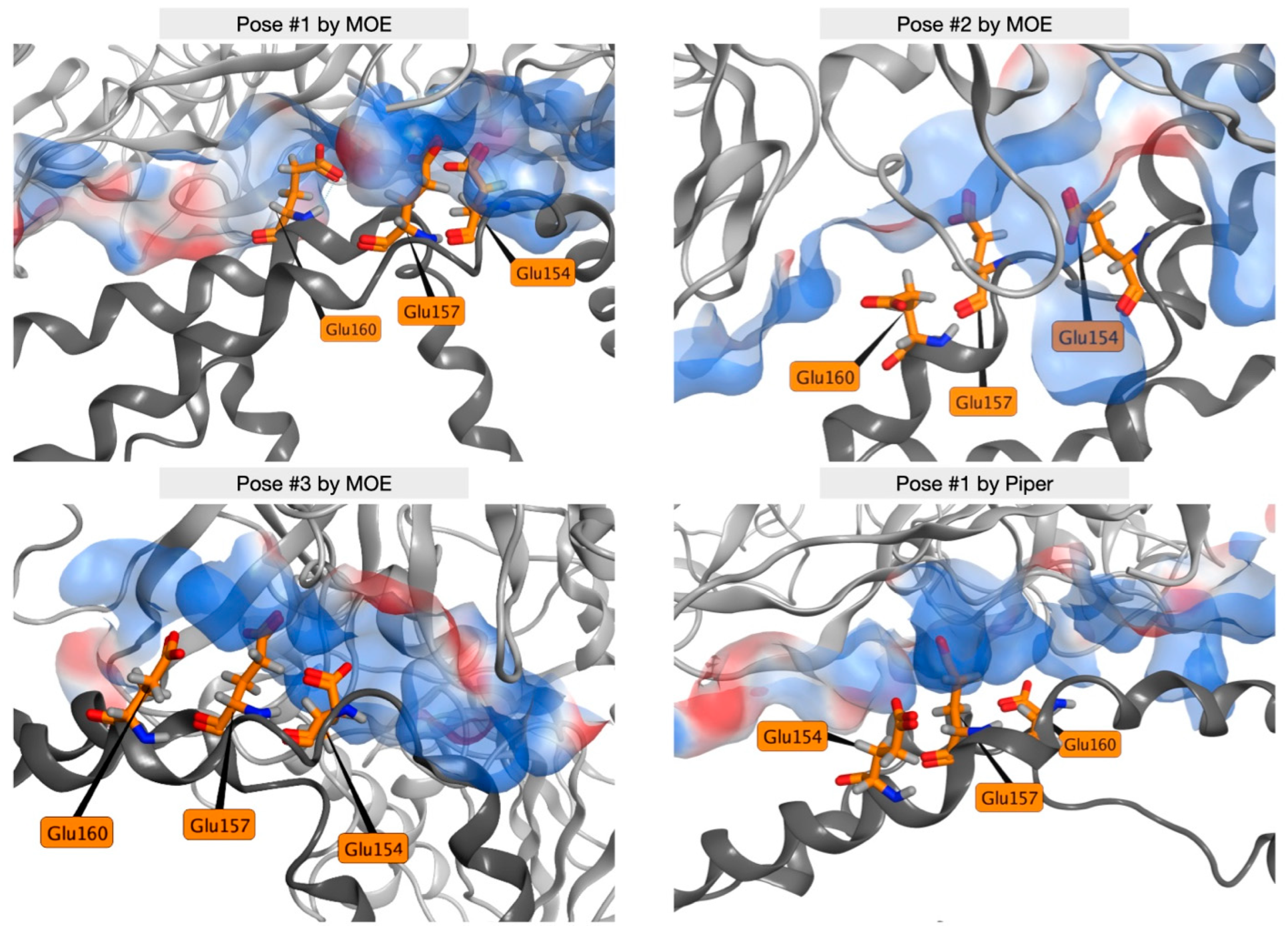 Ijms 25 03555 g009 Ijms 25 03555 g009