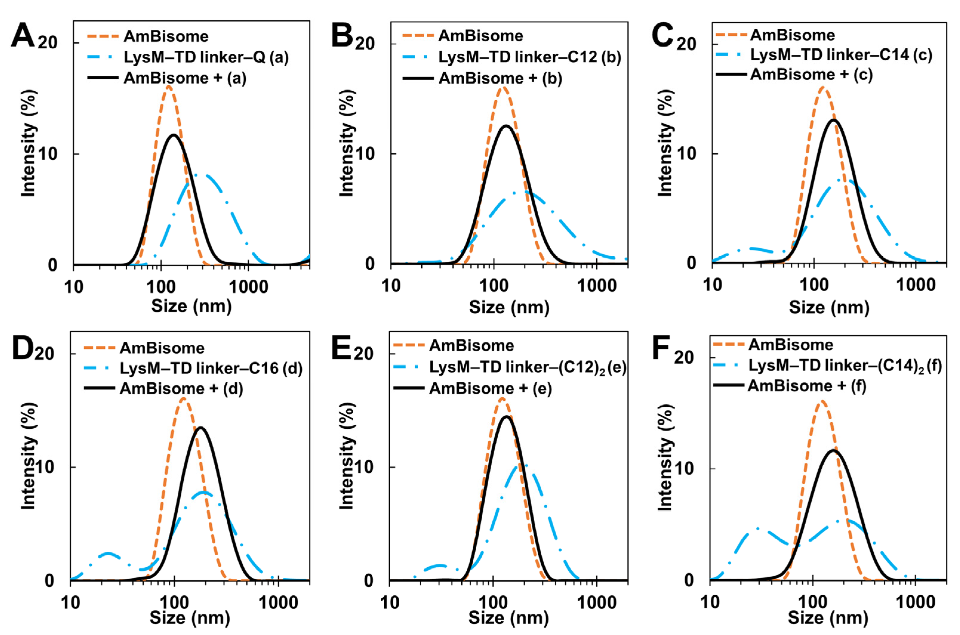 Ijms 25 03567 g007 Ijms 25 03567 g007