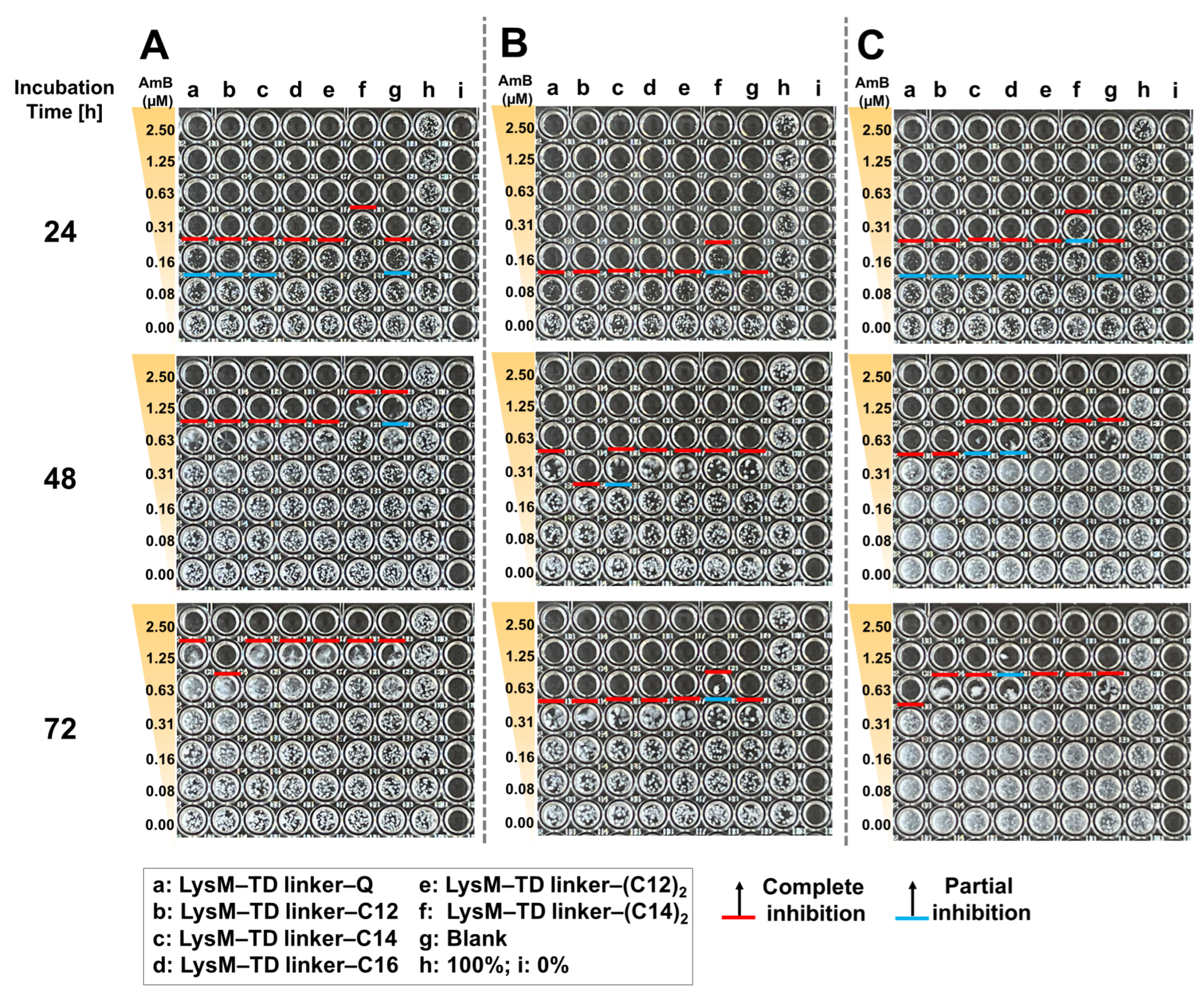 Ijms 25 03567 g008 Ijms 25 03567 g008