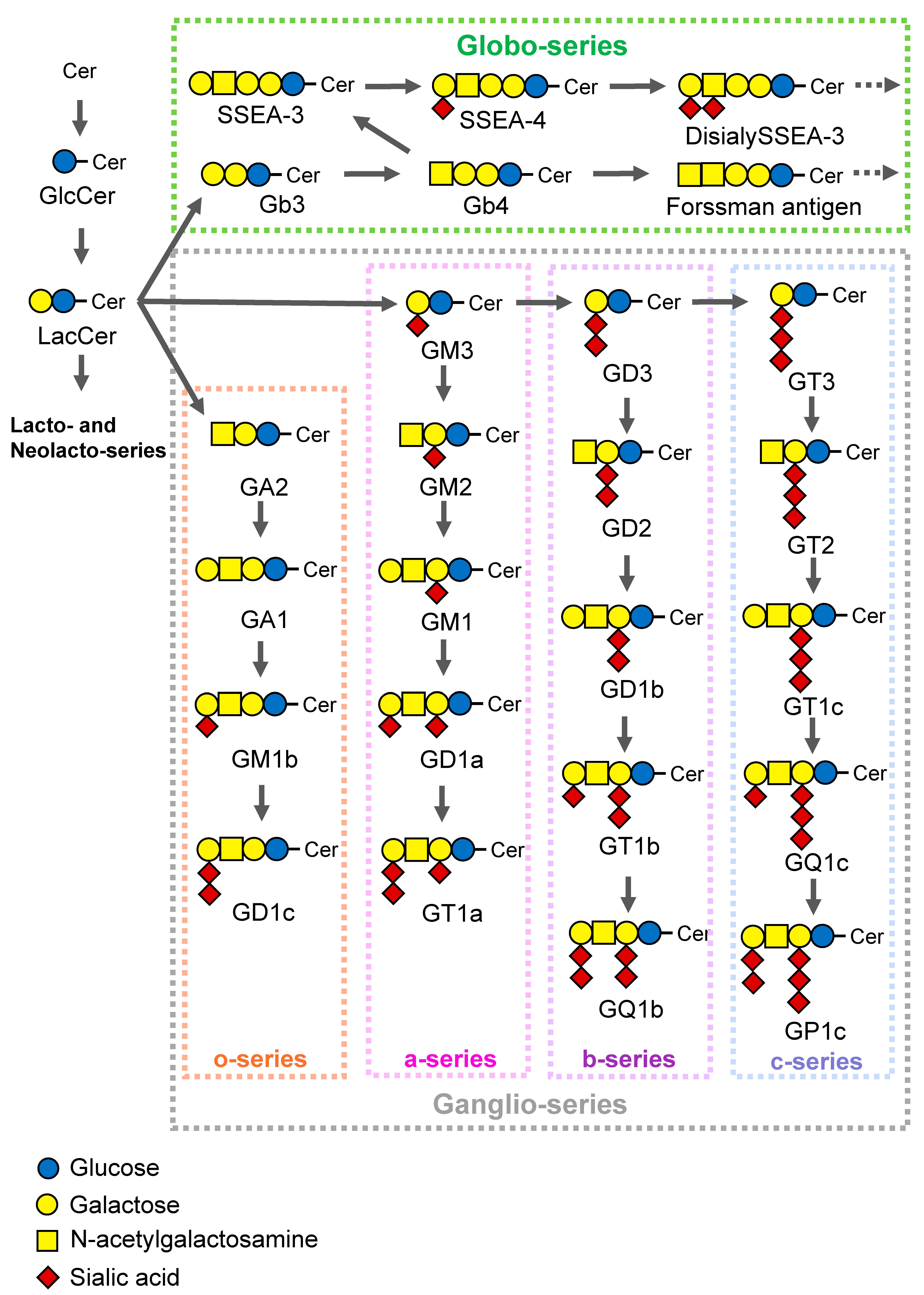 Ijms 25 03568 g002 Ijms 25 03568 g002