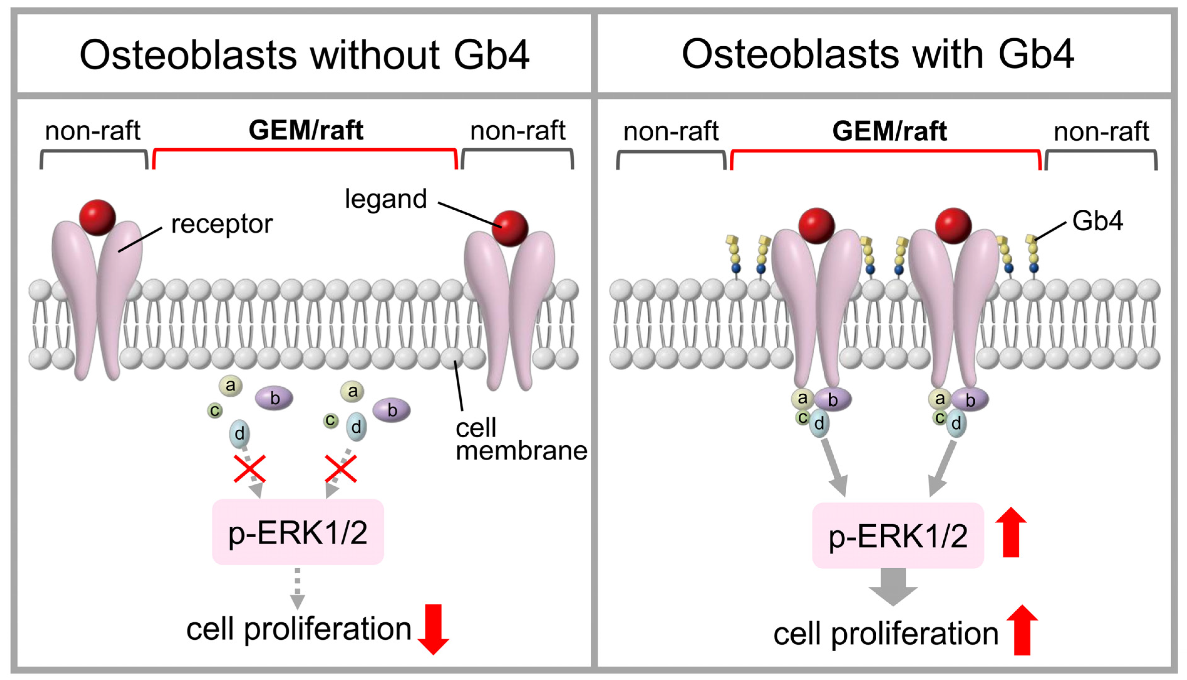 Ijms 25 03568 g004 Ijms 25 03568 g004