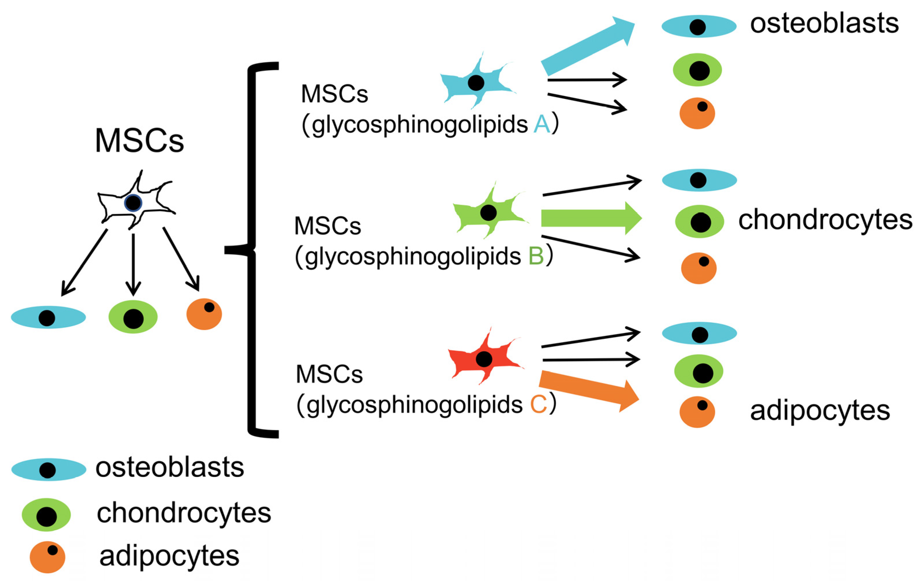 Ijms 25 03568 g006 Ijms 25 03568 g006