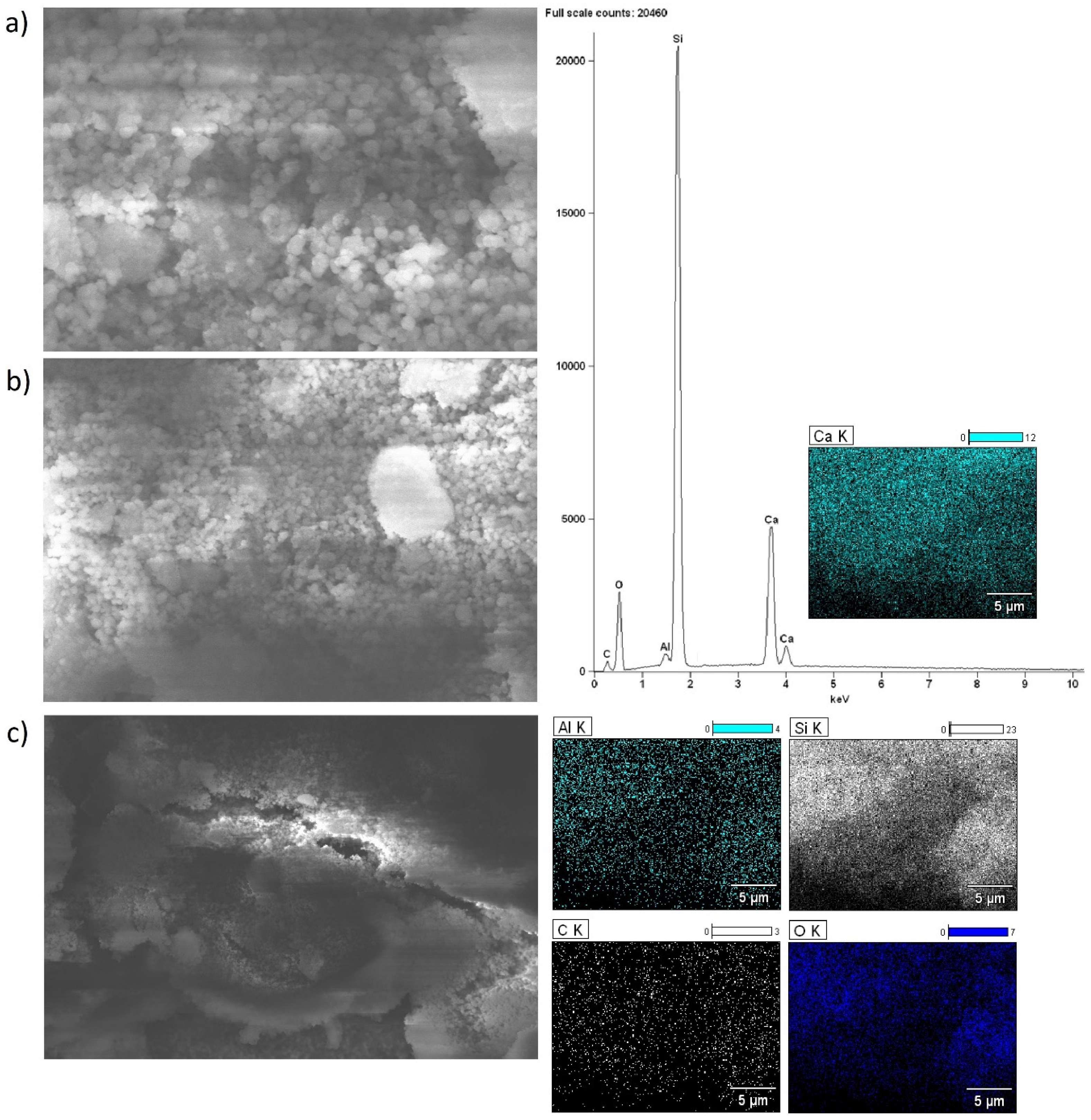 Ijms 25 03570 g005 Ijms 25 03570 g005