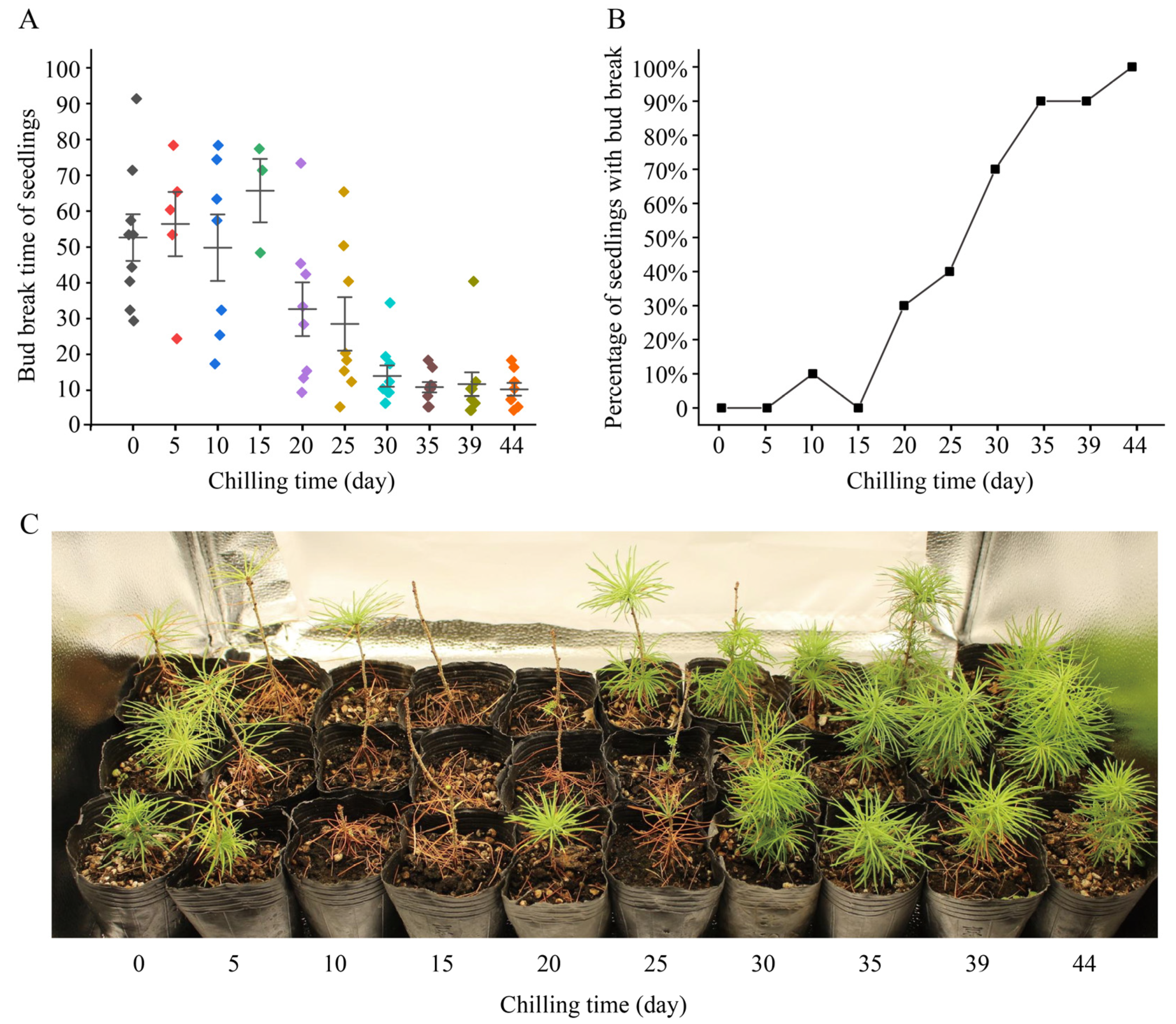 Ijms 25 03578 g001 Ijms 25 03578 g001