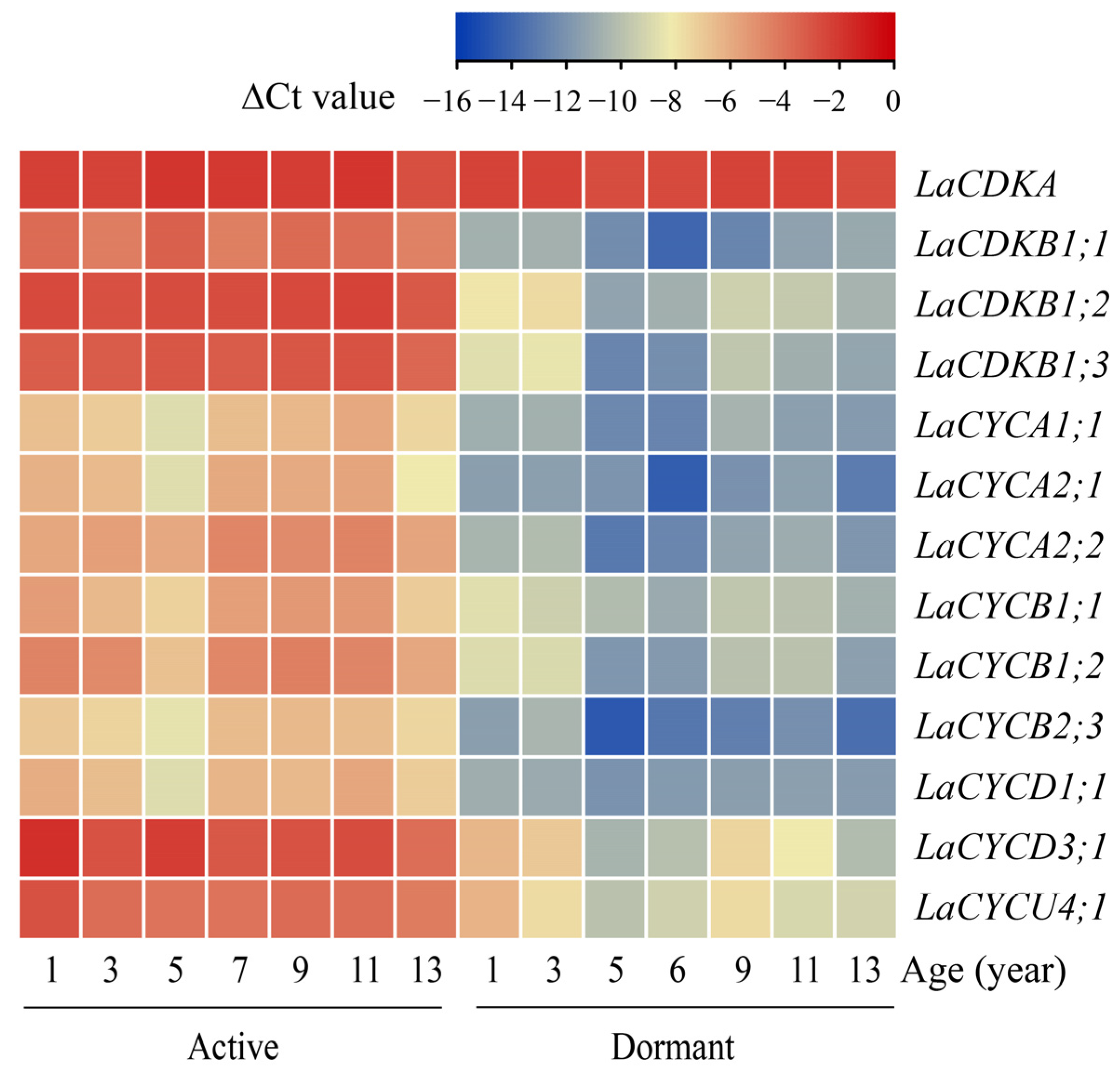 Ijms 25 03578 g002 Ijms 25 03578 g002