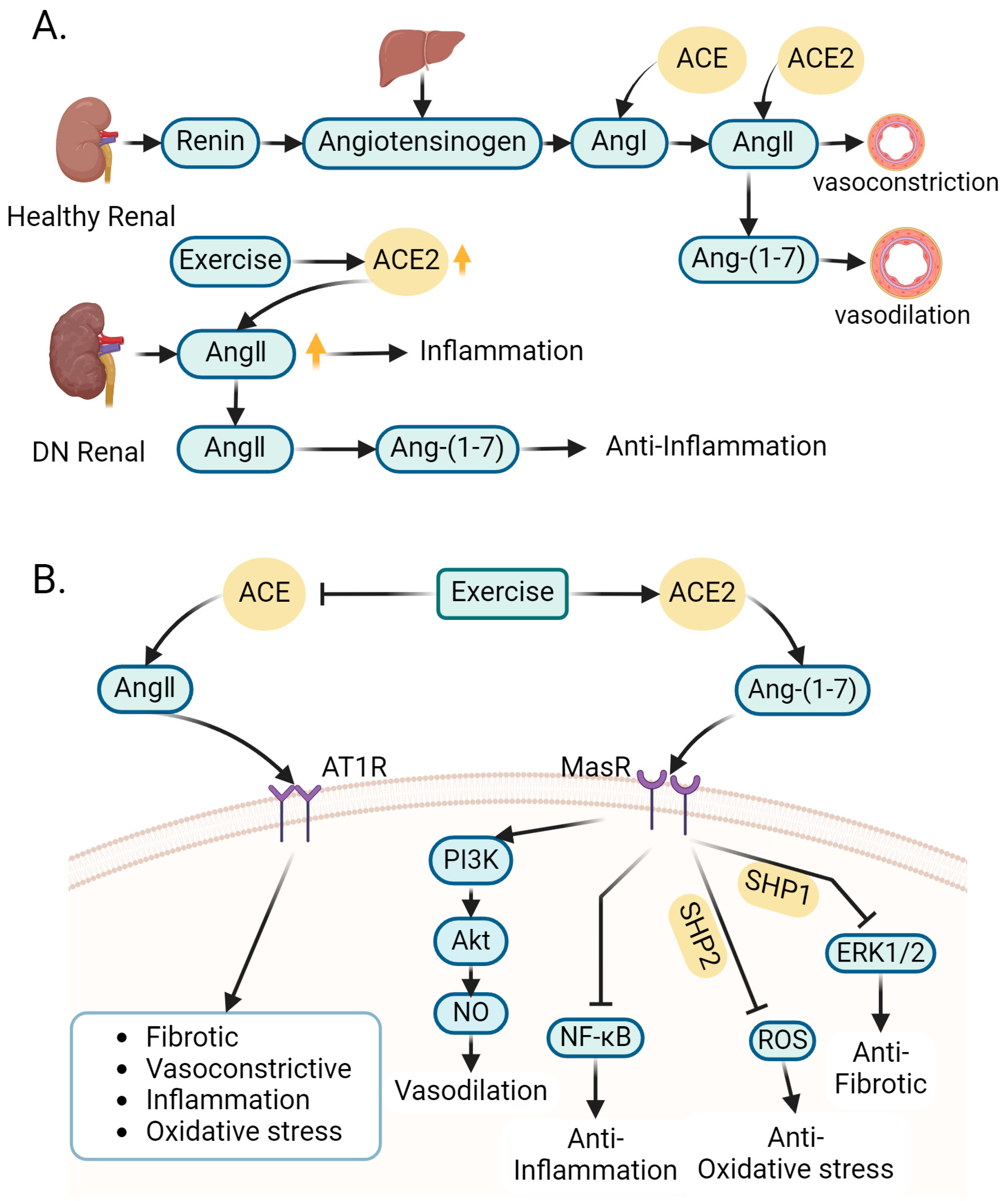 Ijms 25 03605 g003 Ijms 25 03605 g003