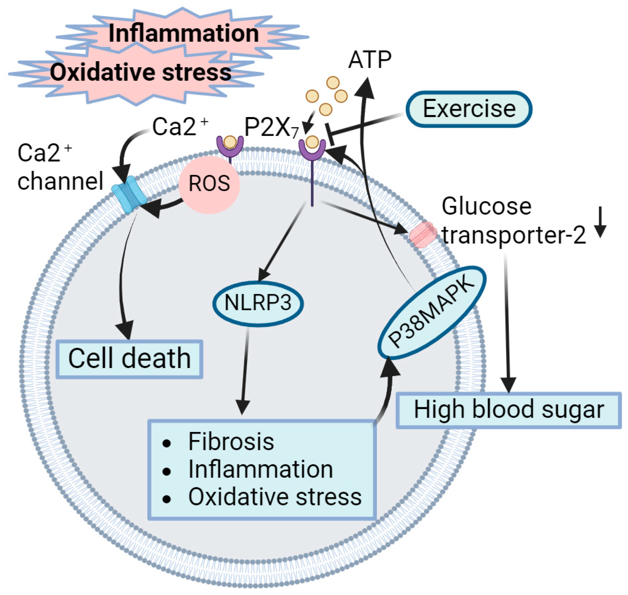 Ijms 25 03605 g005 Ijms 25 03605 g005