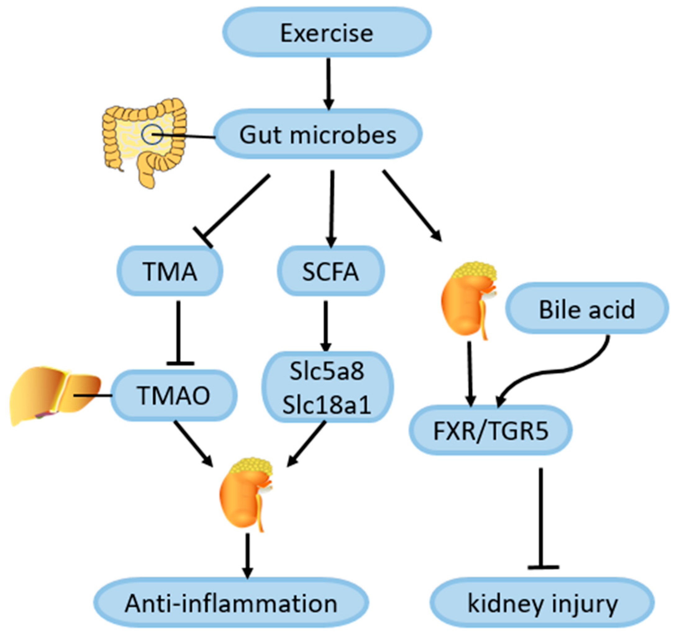 Ijms 25 03605 g006 Ijms 25 03605 g006