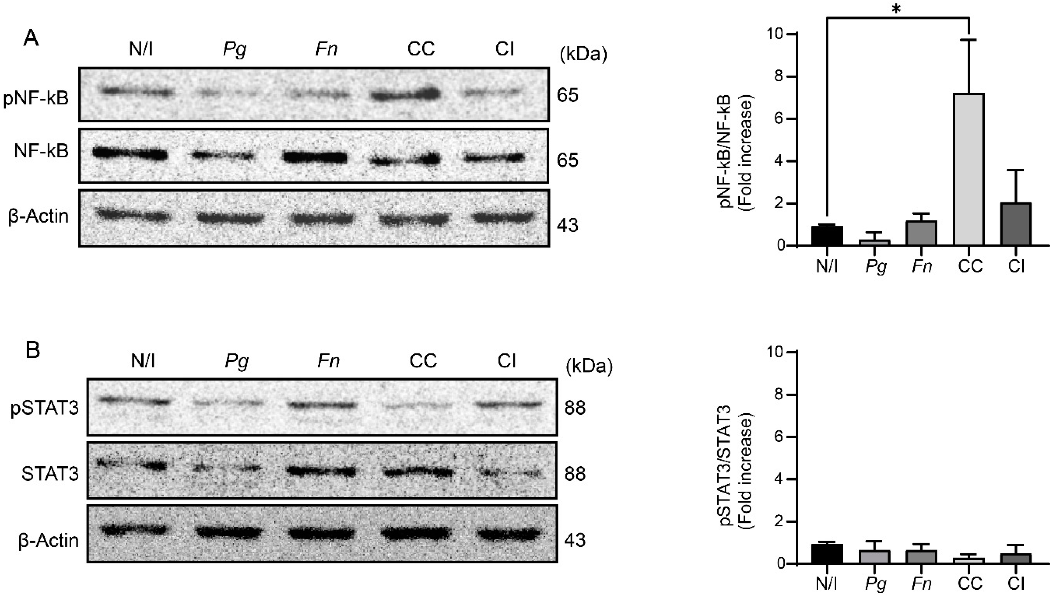 Ijms 25 03611 g003 Ijms 25 03611 g003
